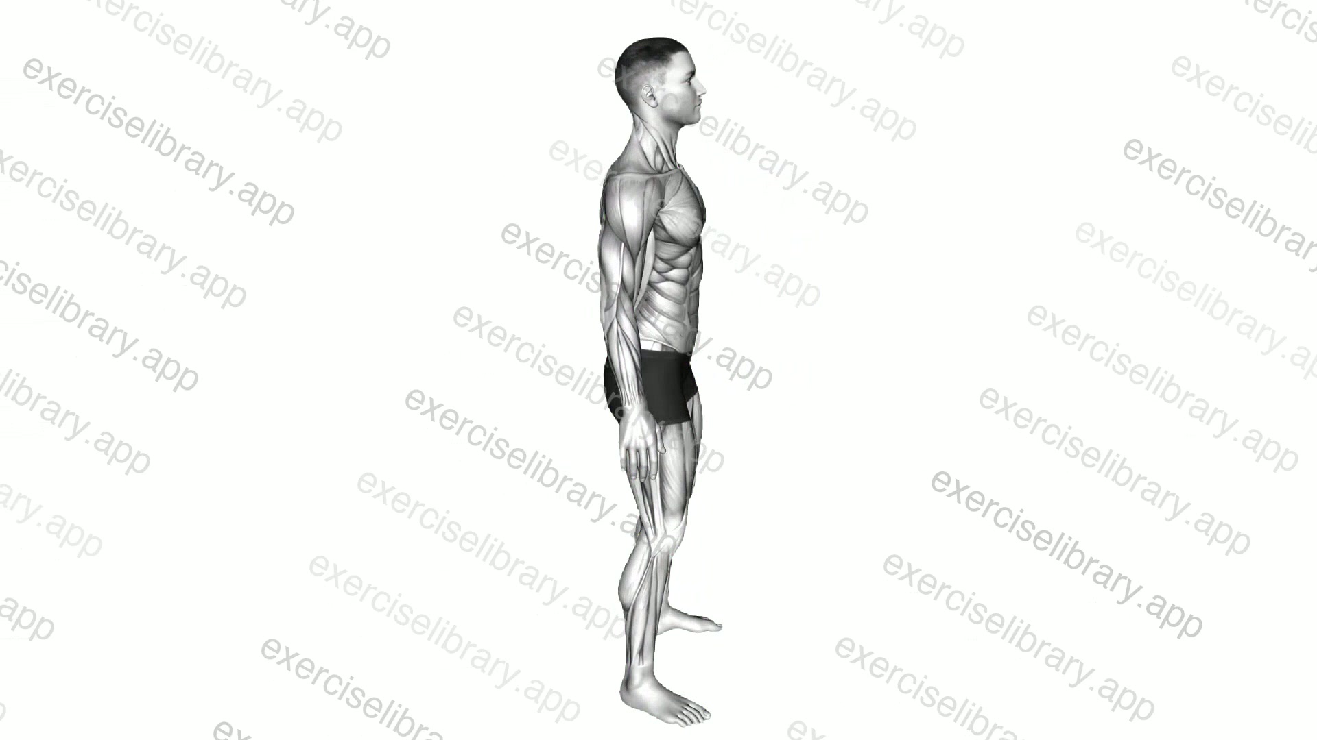 Training Level demonstration
