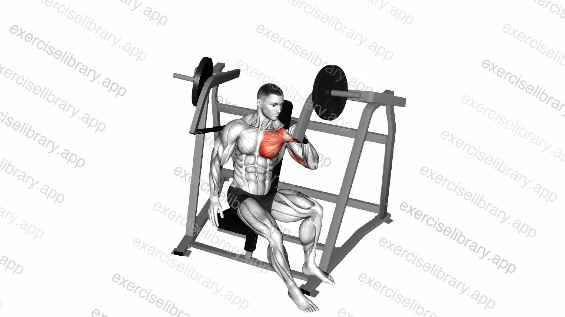Lever One Arm Incline Chest Press demonstration
