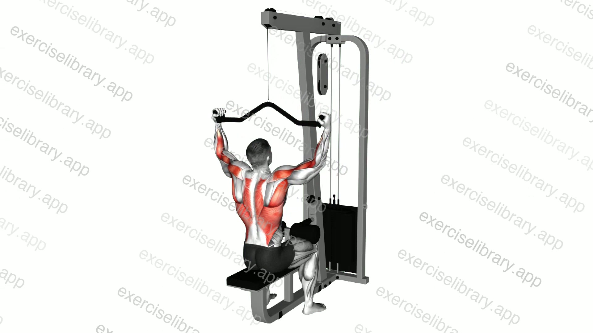 Cable Neutral Grip Wide Pulldown demonstration