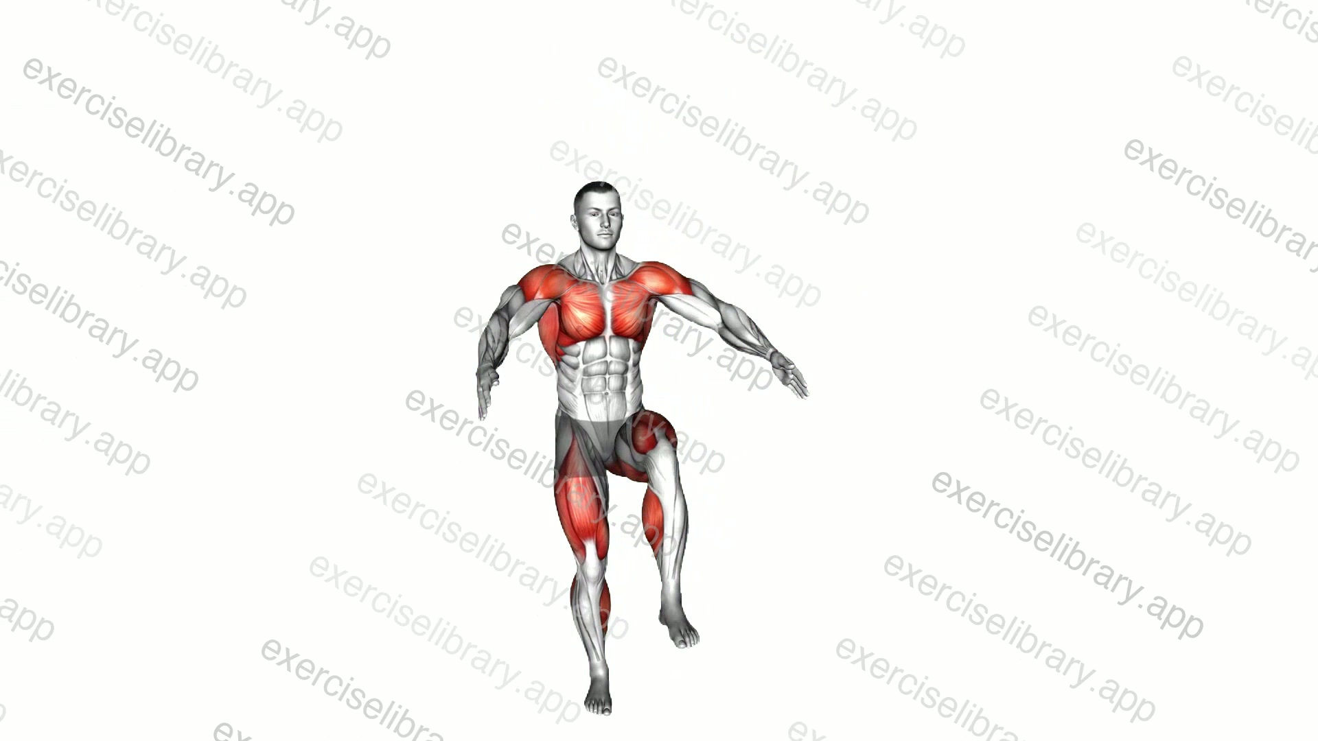 Leg Front Lift Jack demonstration