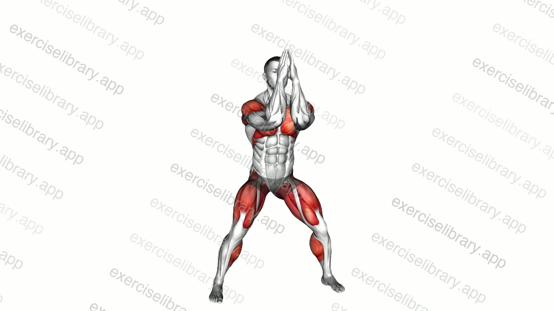 Chest Fly Side Step demonstration