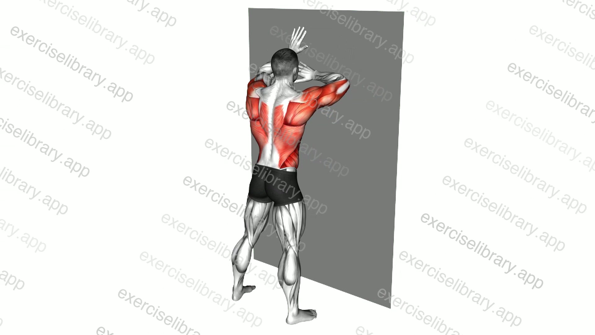 Wall Press and Twist demonstration