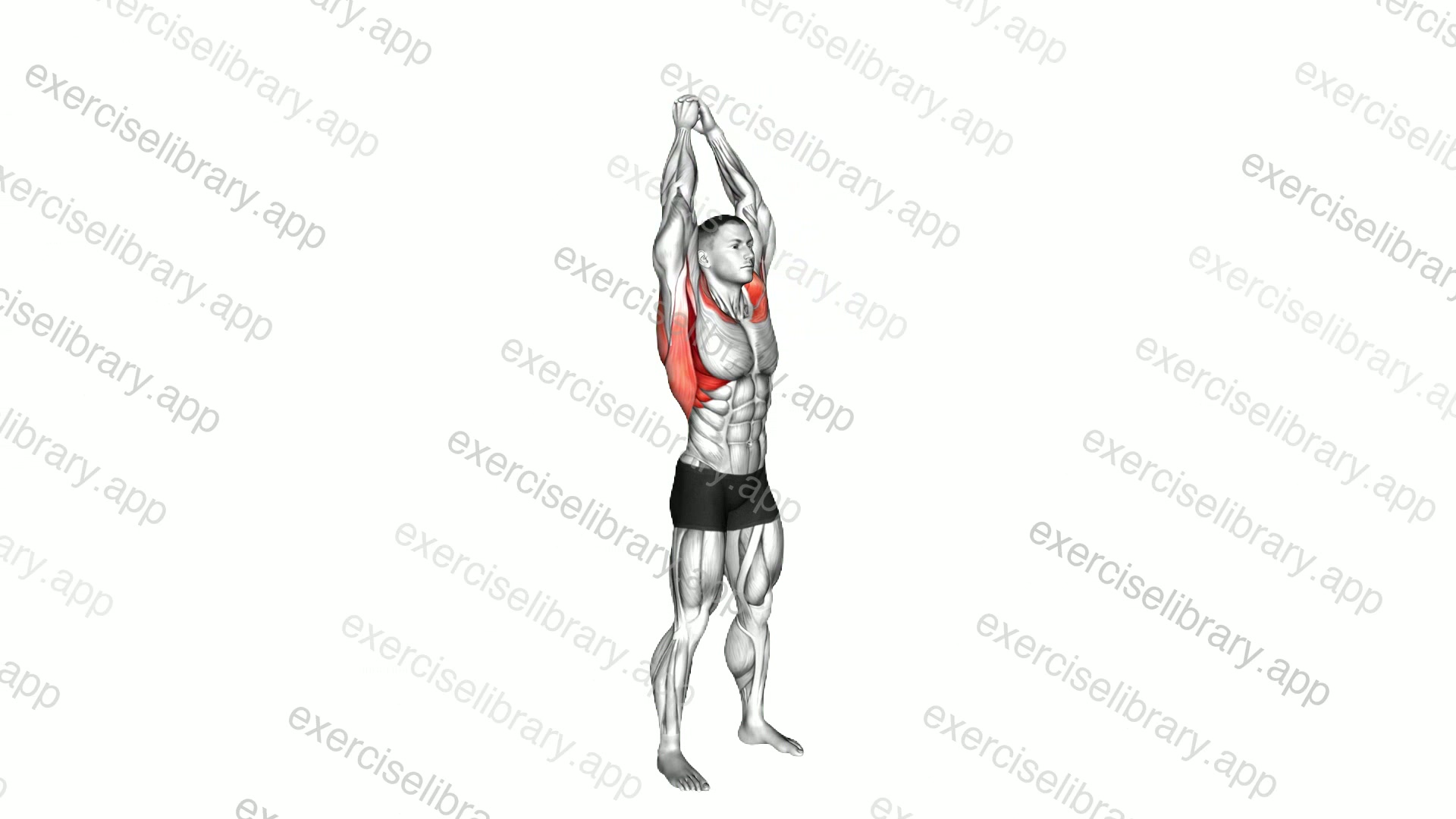 Shoulder Backbend Stretch demonstration