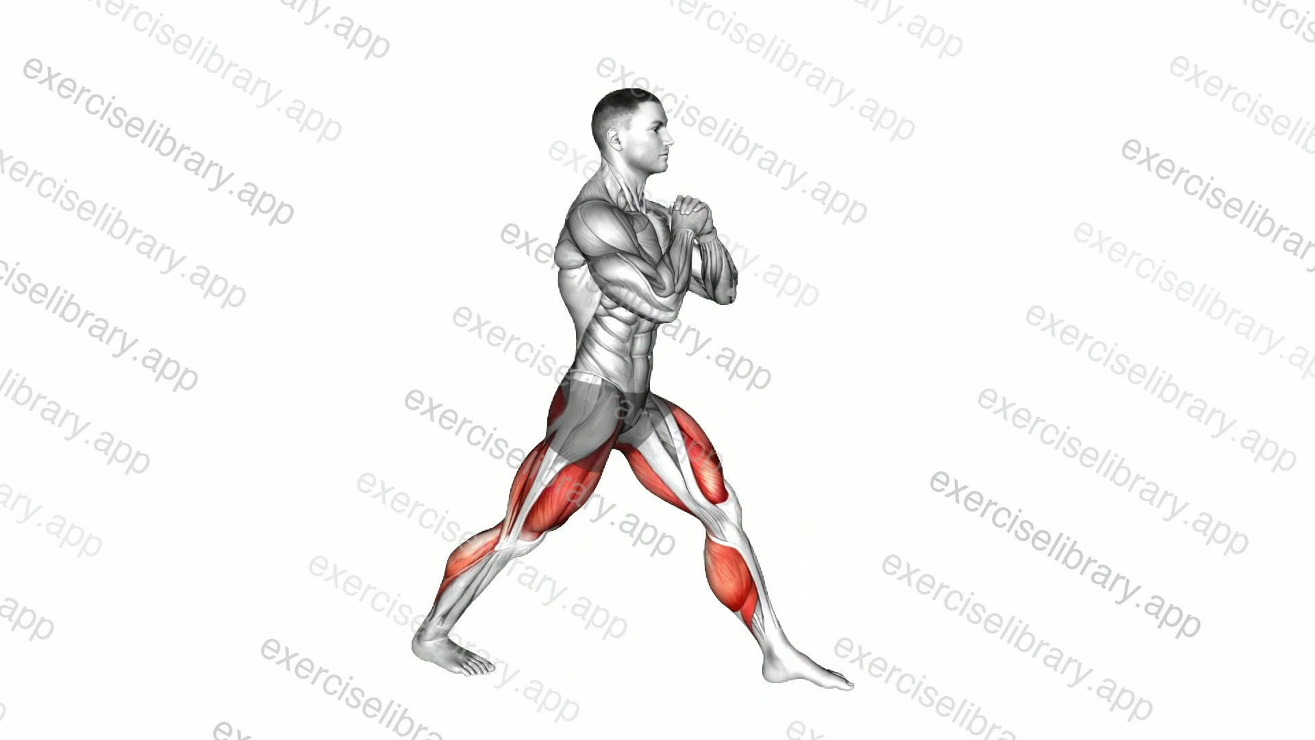 Lunge Stretch demonstration