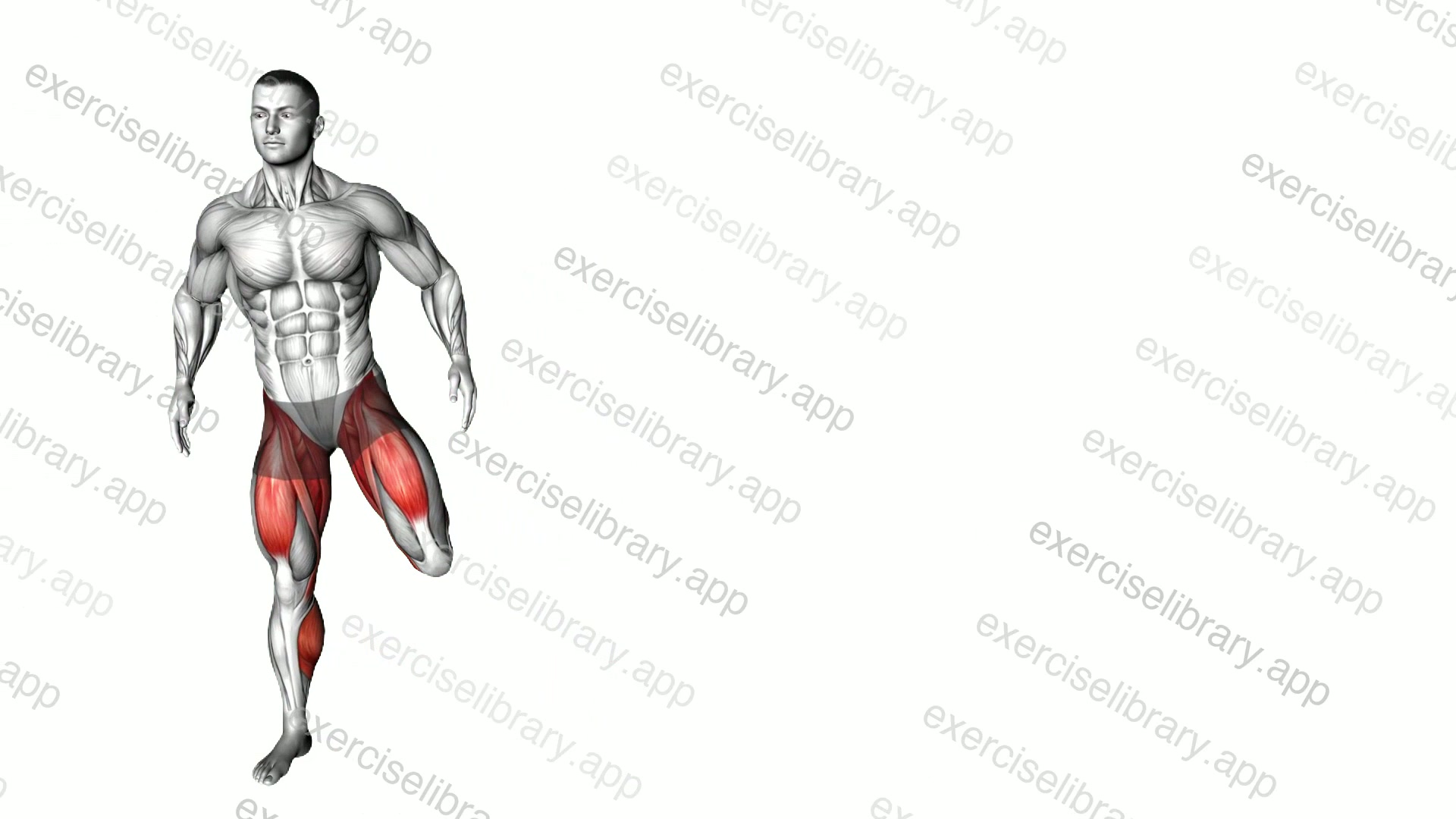 Shuffle Leg Lift demonstration