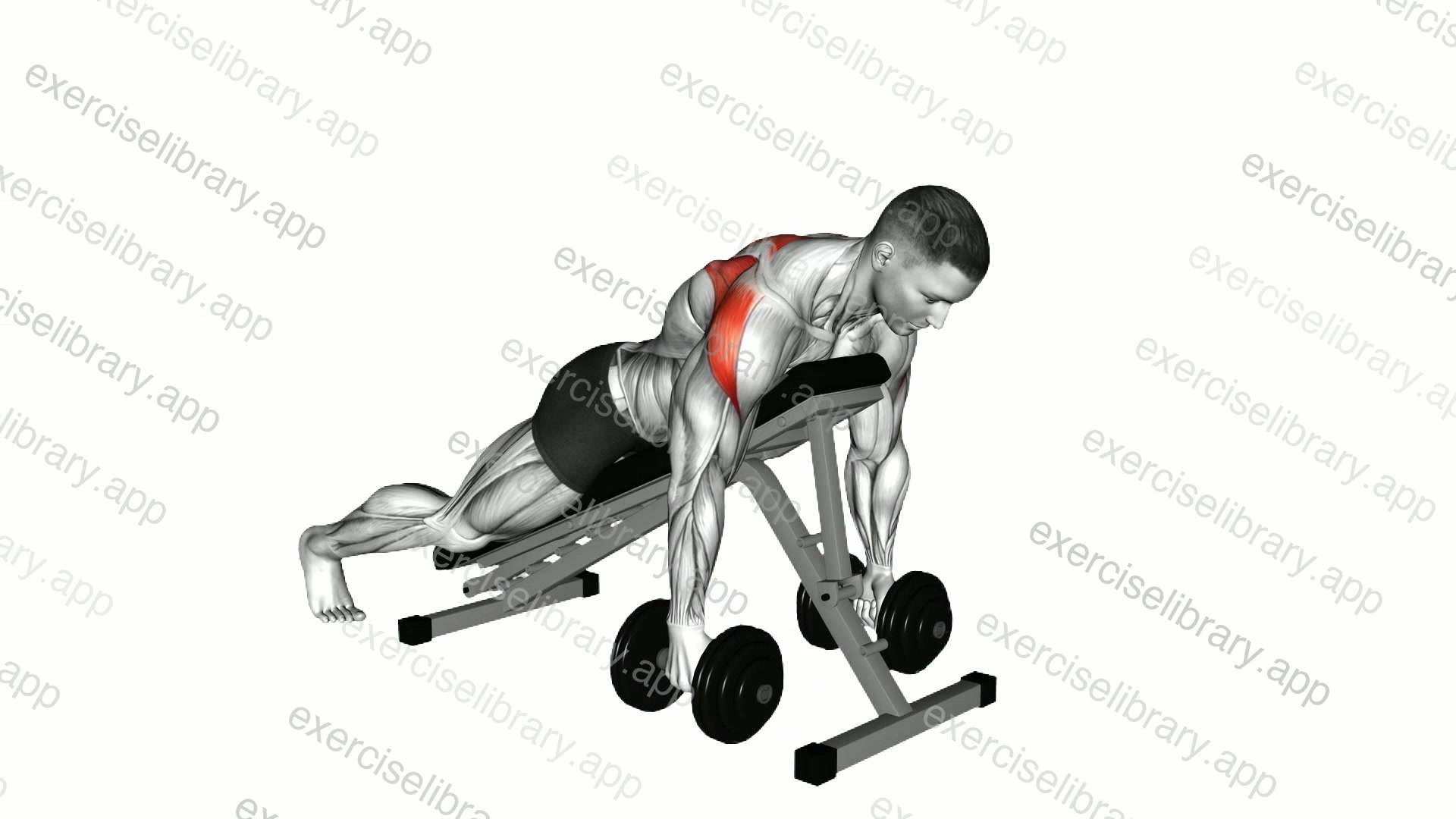 Dumbbell Prone Rear Delt Swing demonstration