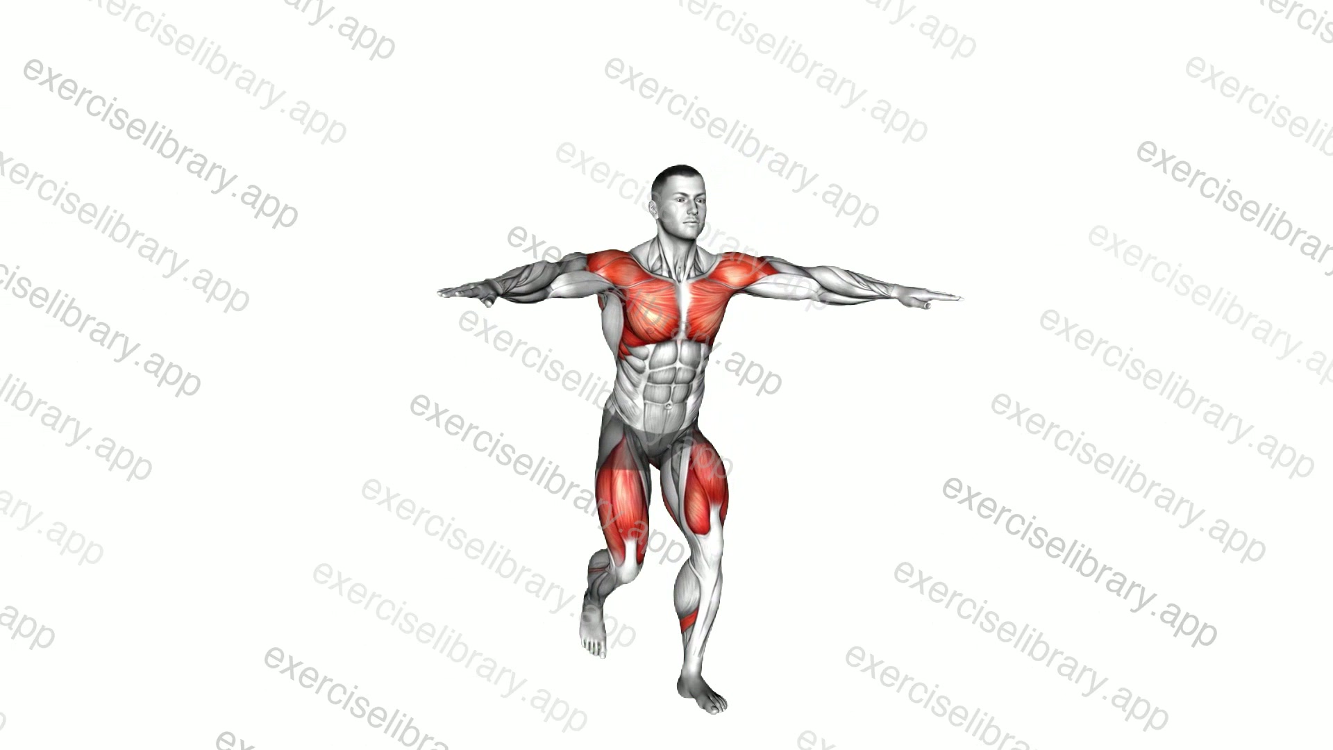 Arm Circle Stepback demonstration