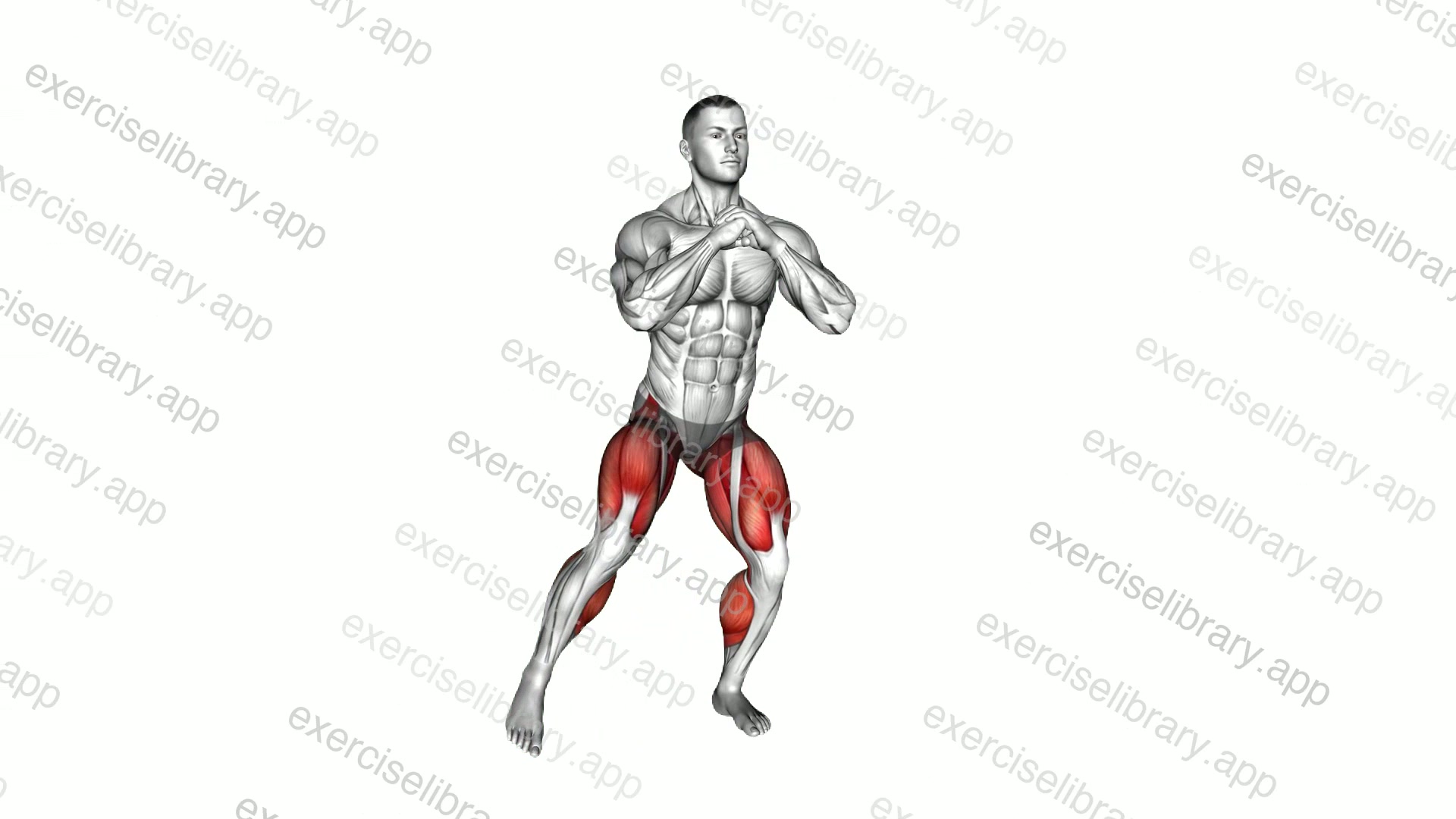 Lateral Tap in Squat Position demonstration