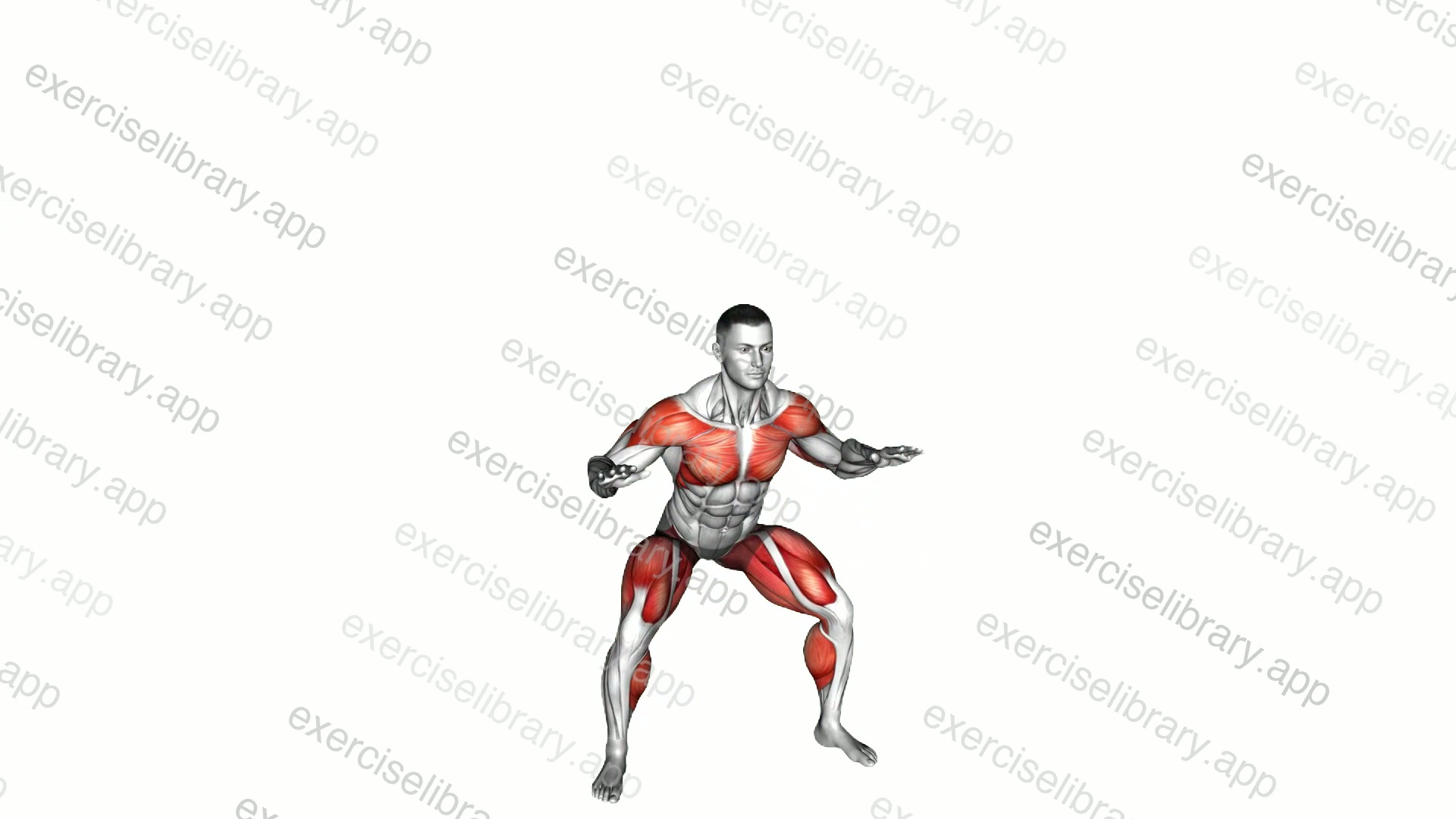 Reach Front Reach Top Sumo Squat demonstration