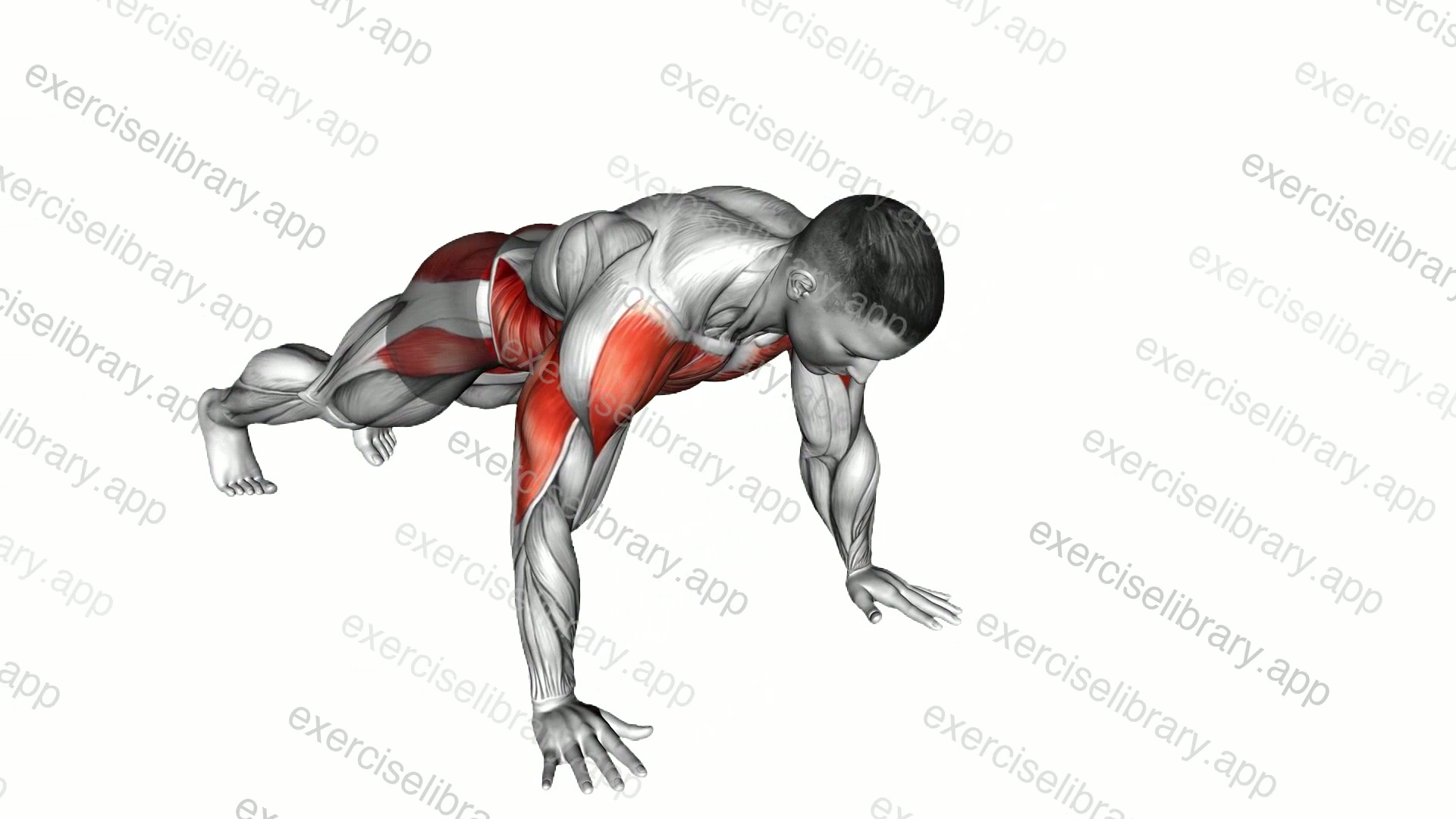 Plank Side Walk demonstration