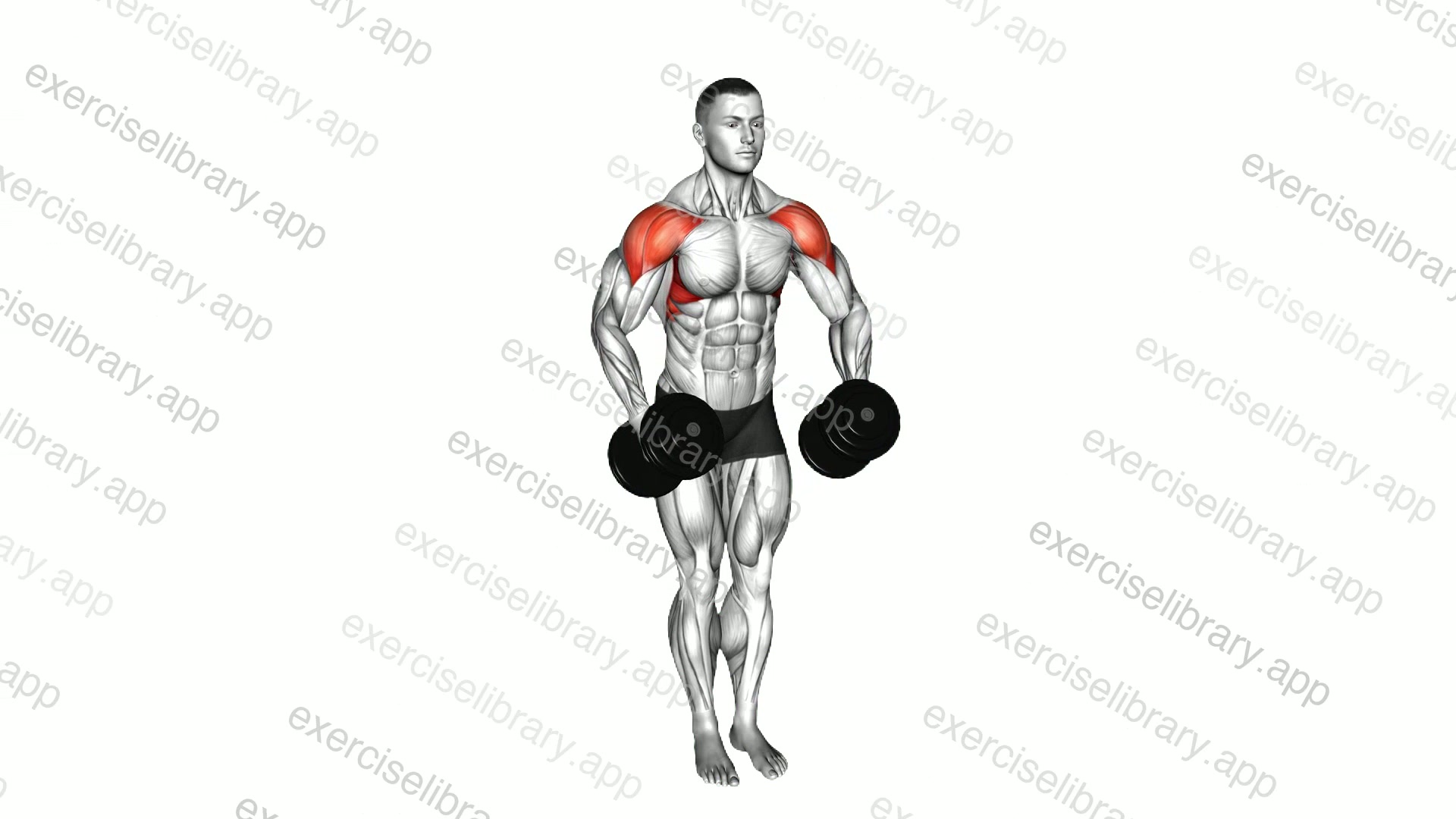 Dumbbell Standing Bent Arm Lateral raise demonstration