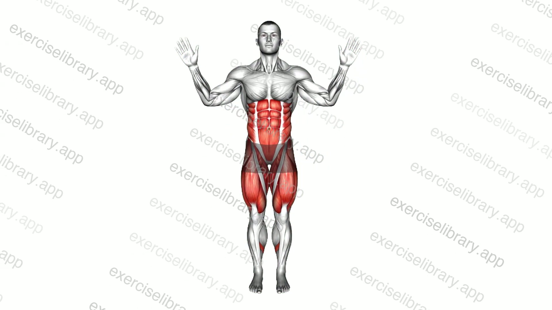 Alternating Ankle Touch demonstration