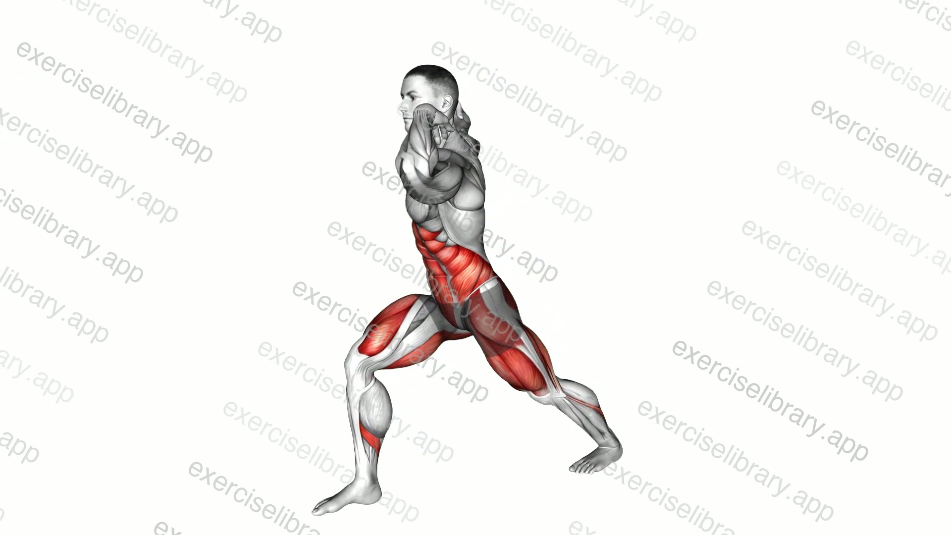 Shoulder Rotation Twist Split Lunge Stretch demonstration