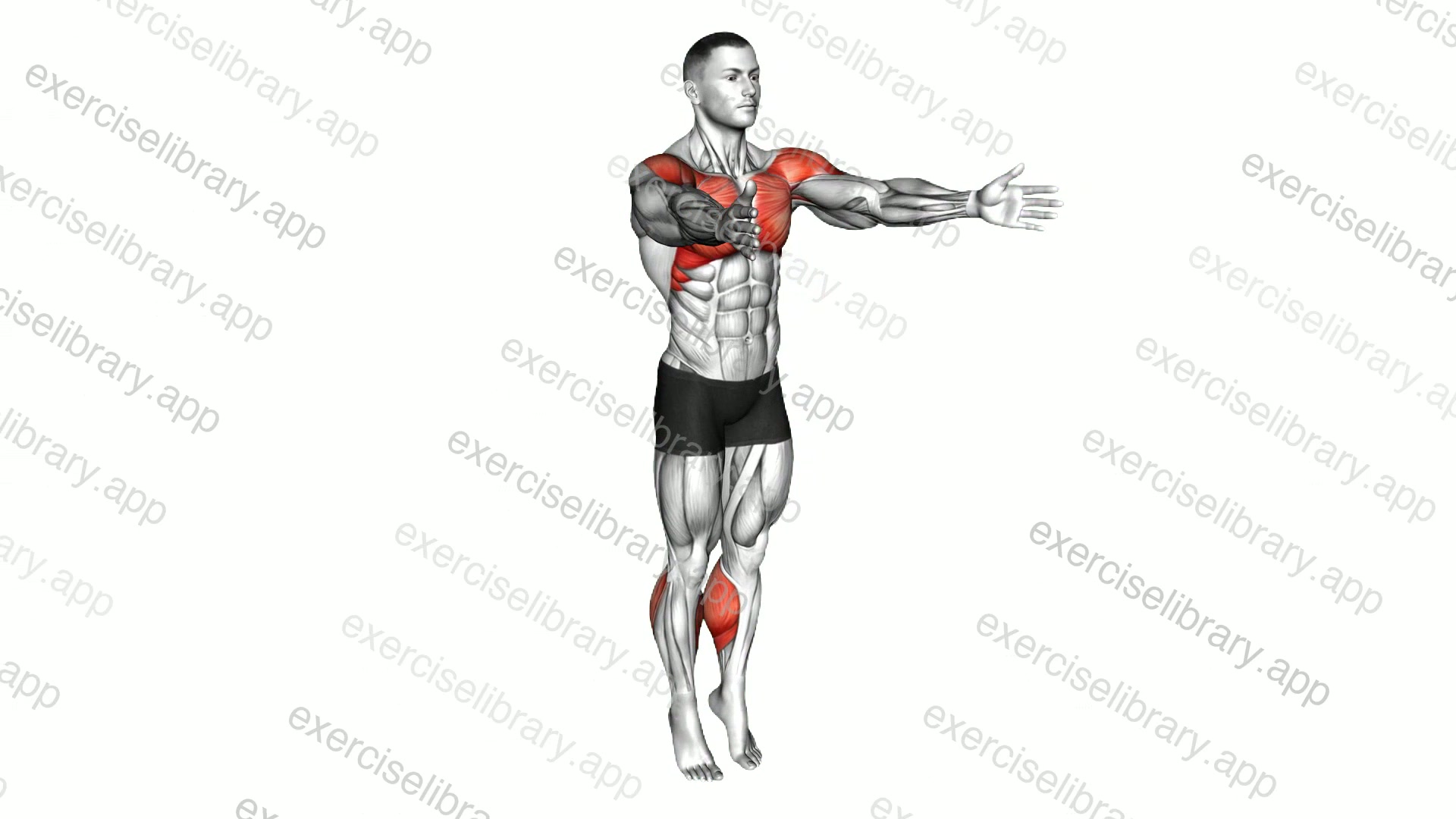 Calf Raise Clap demonstration