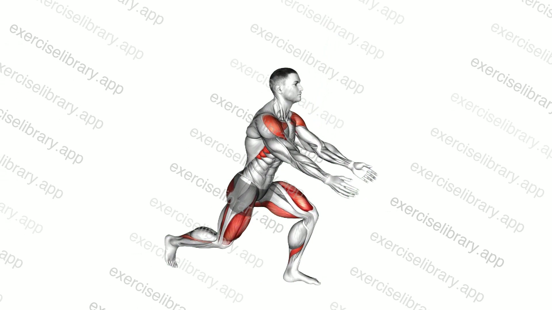 Bodyweight Rear Lunge Front Raise demonstration