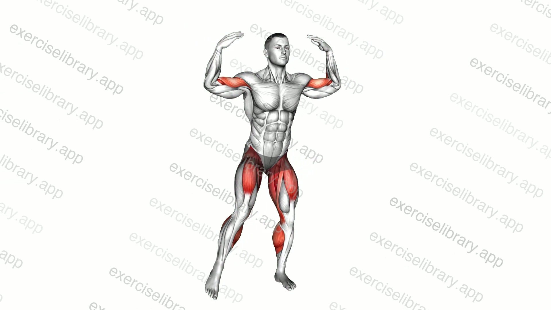 Stepjack Inner Biceps Curl demonstration