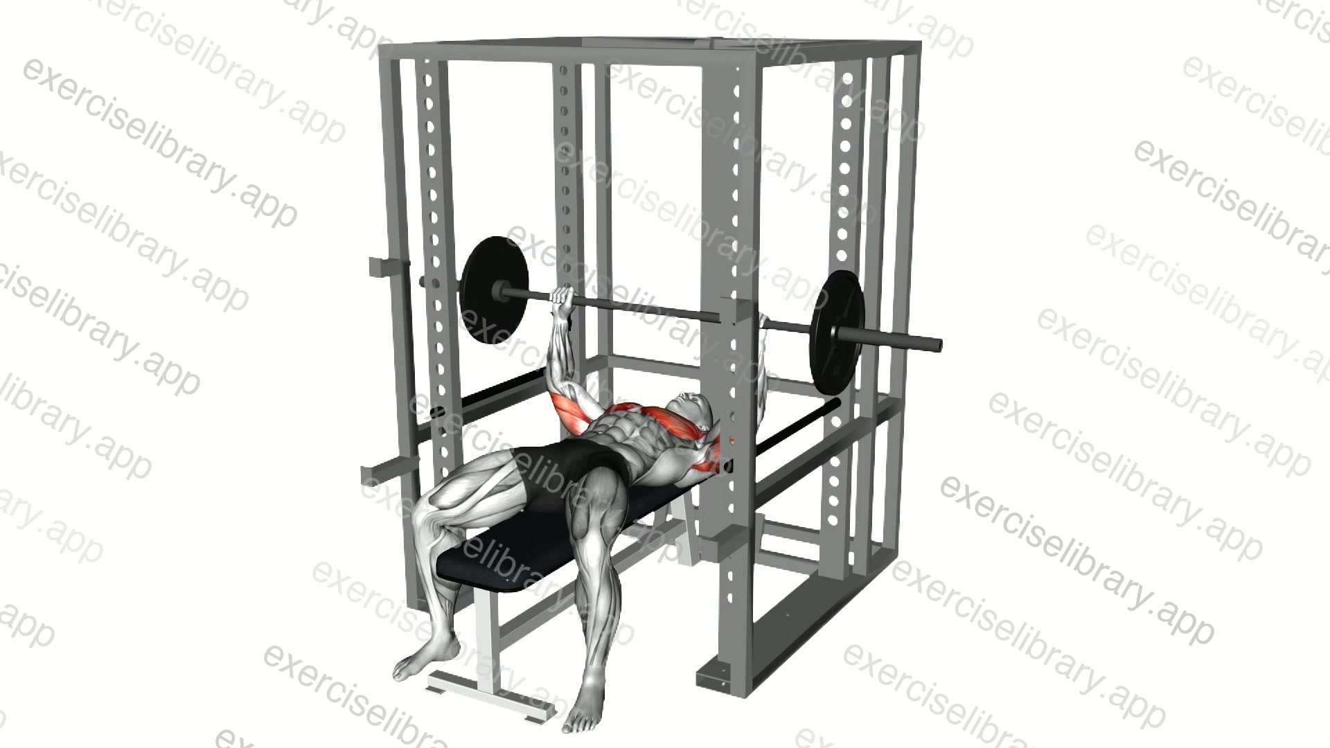 Barbell Pin Chest Press demonstration