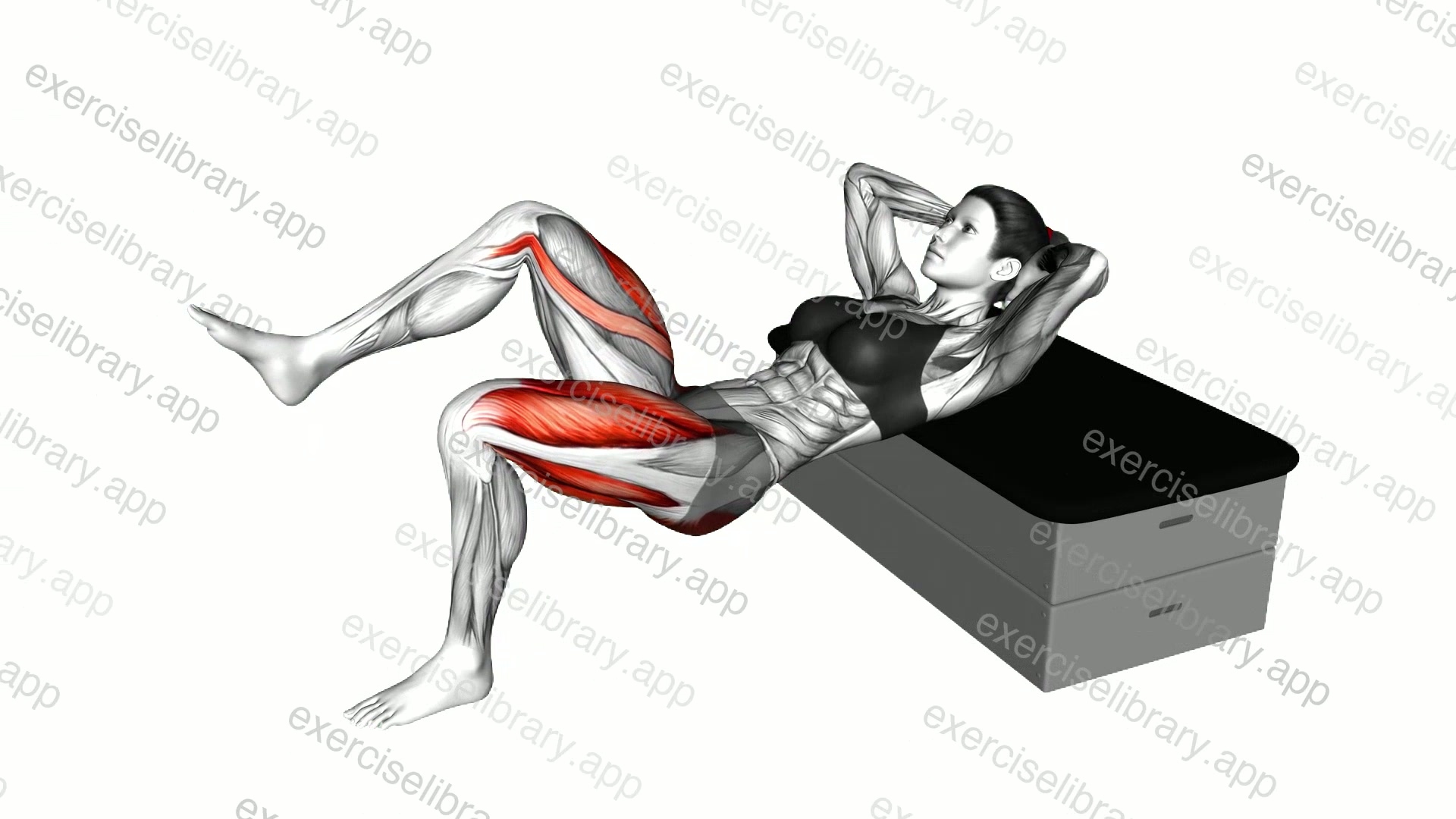 Bodyweight Single Leg Kas Glute Bridge demonstration