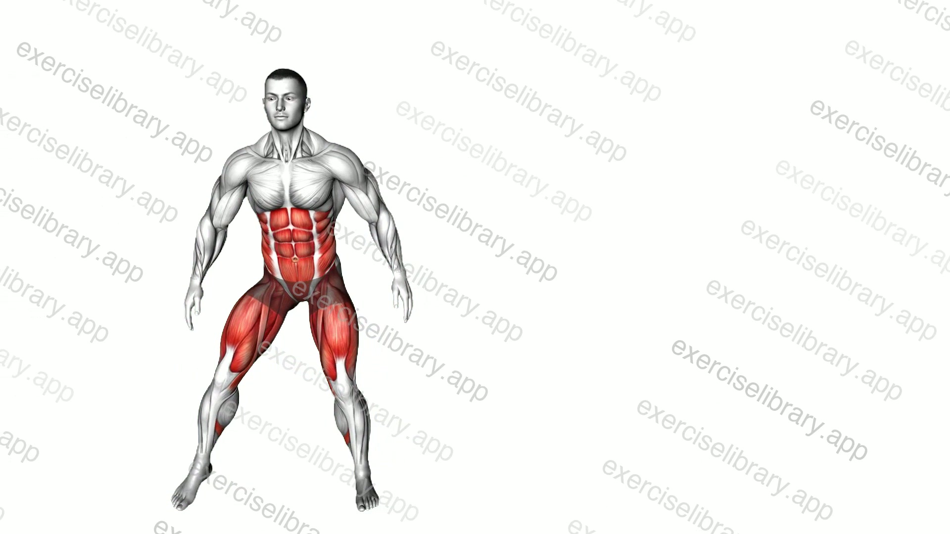 Lateral Shuffle Squat Tap demonstration