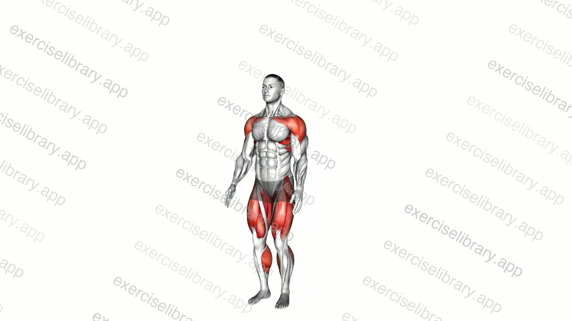 Jumping Squat Jack demonstration