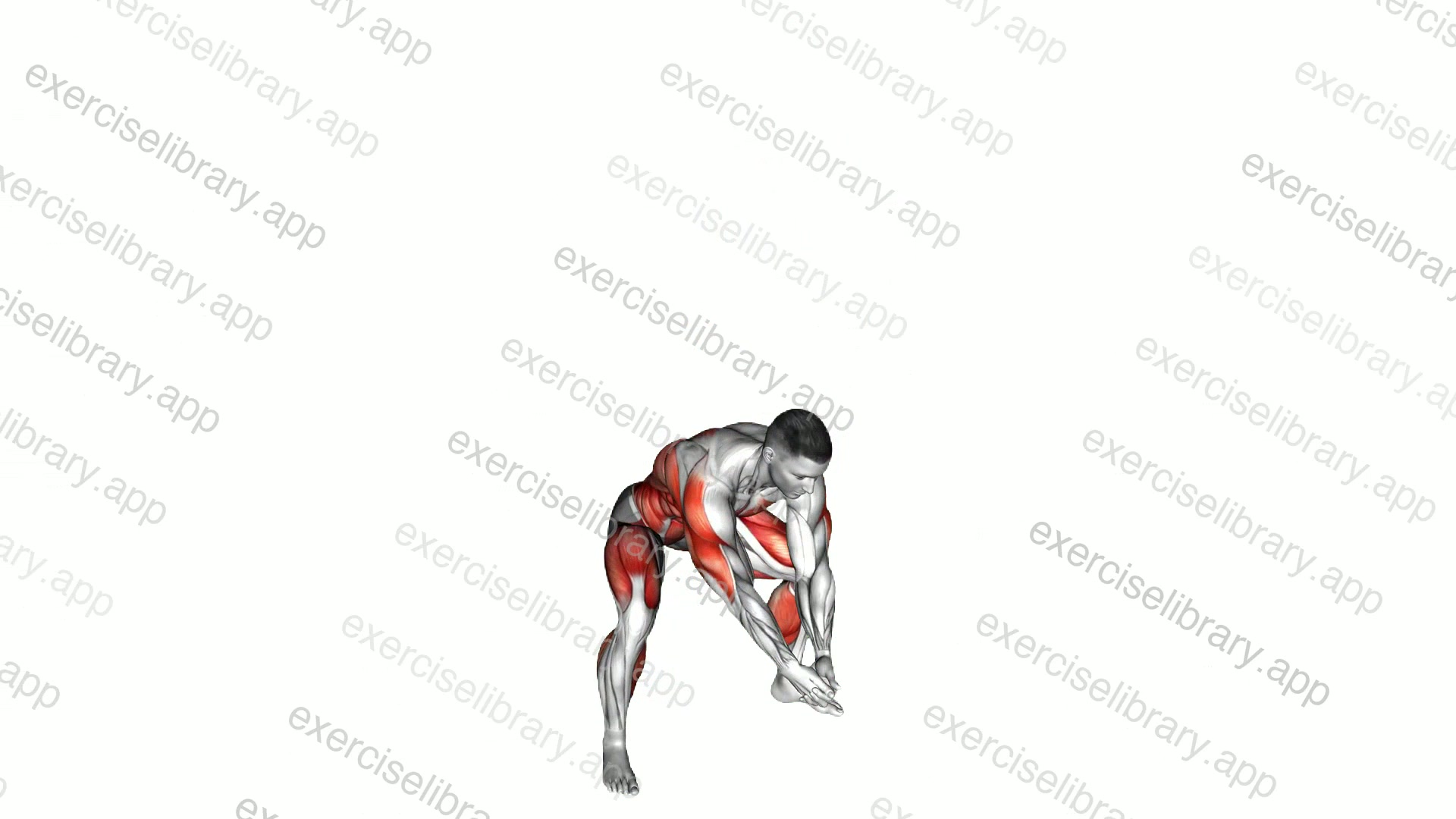 Bodyweight Front Slam demonstration