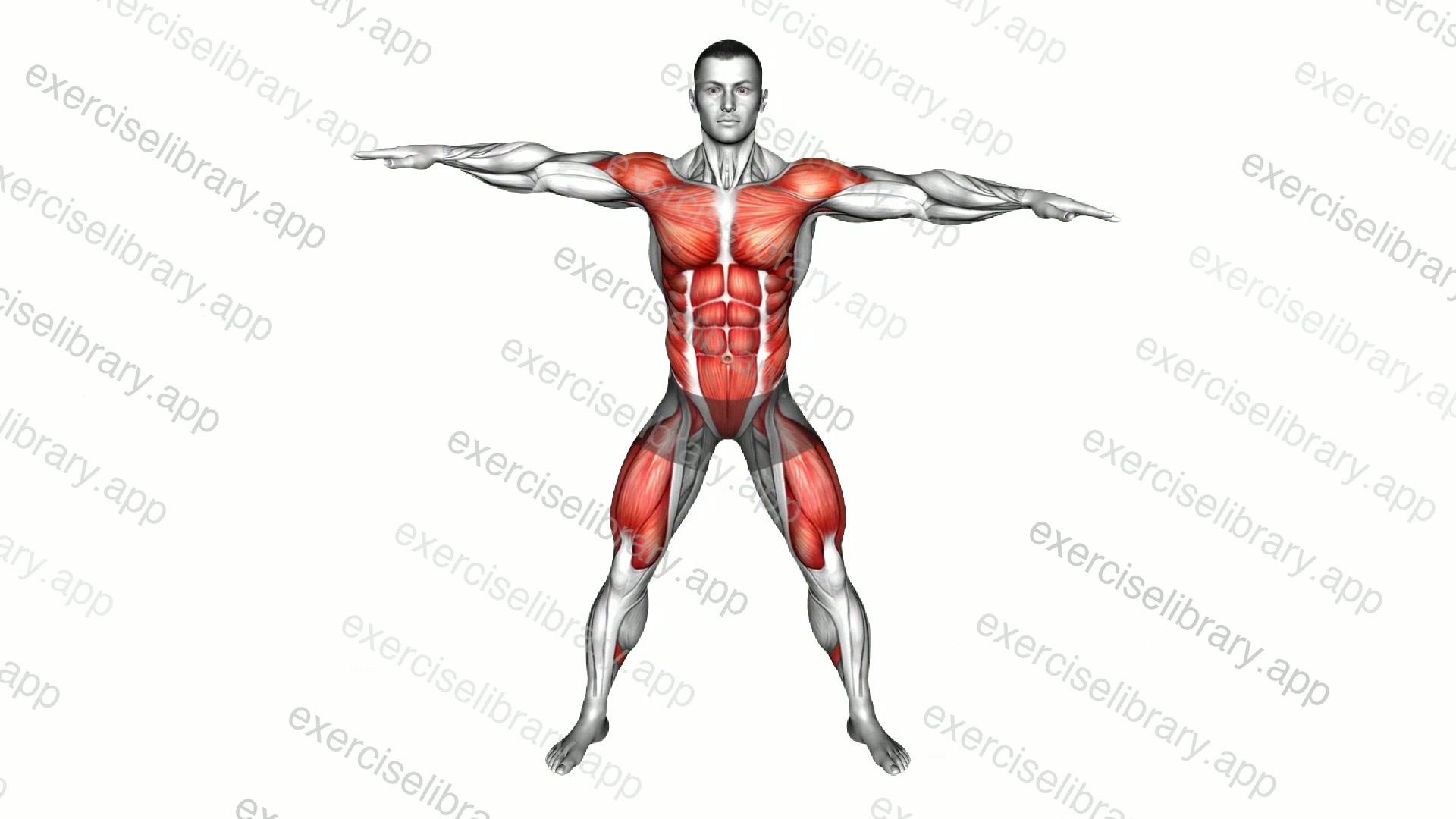 Bouncing Inner Thigh Tap demonstration