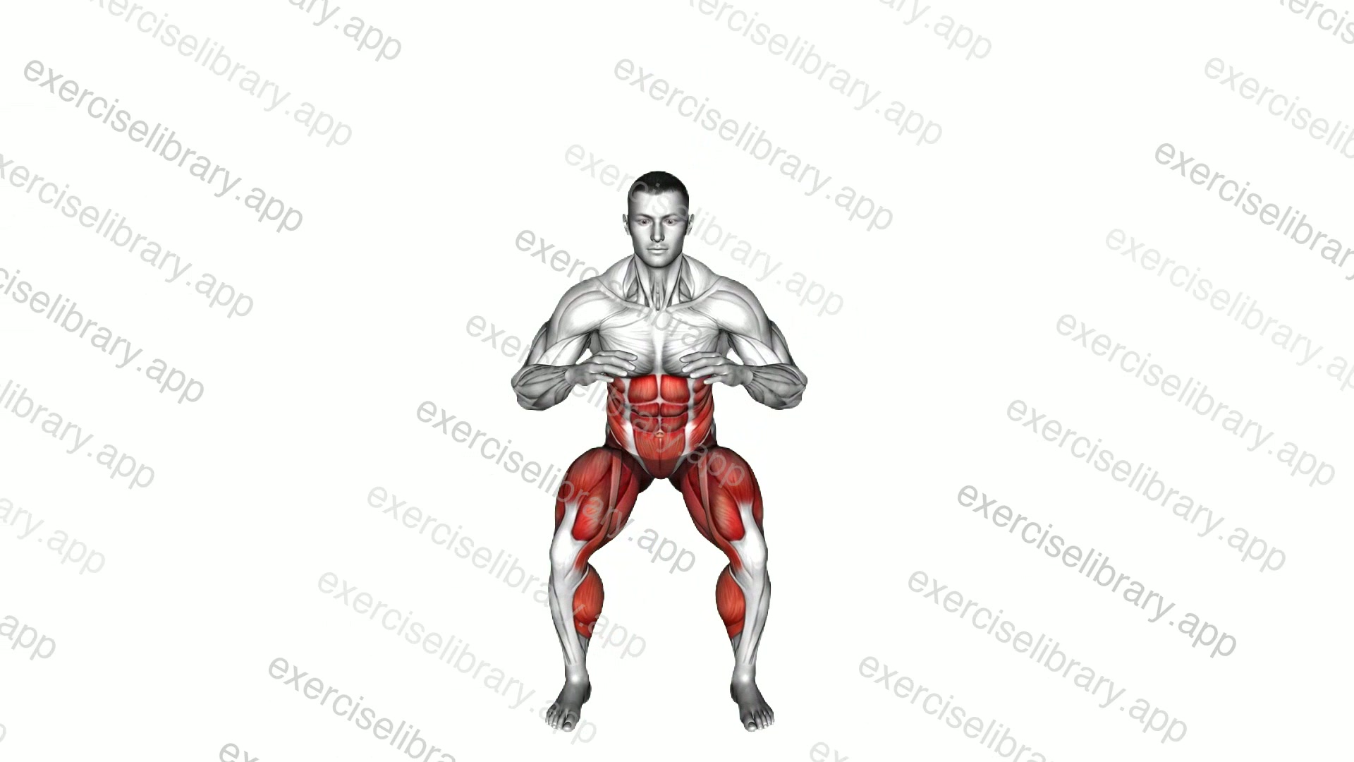 Squat and Knee demonstration