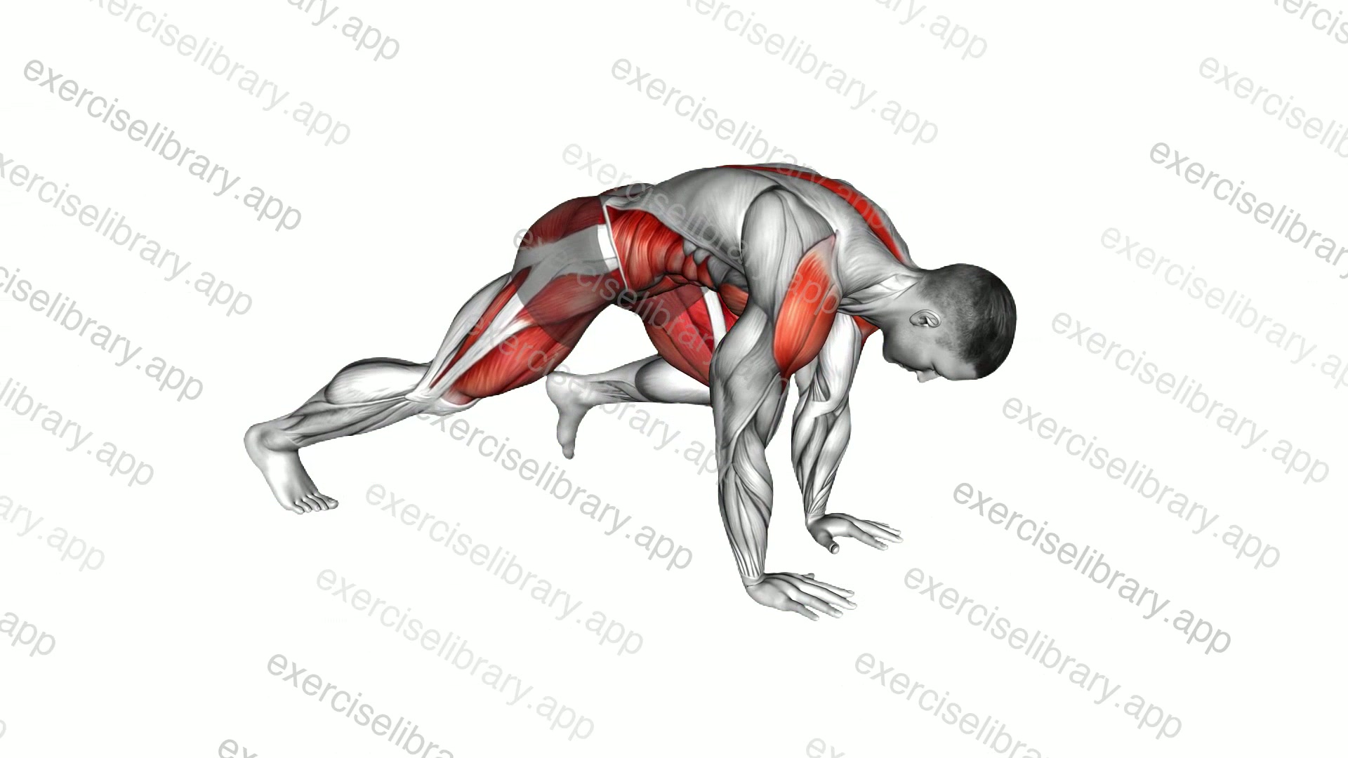 Side Mountain Climber demonstration