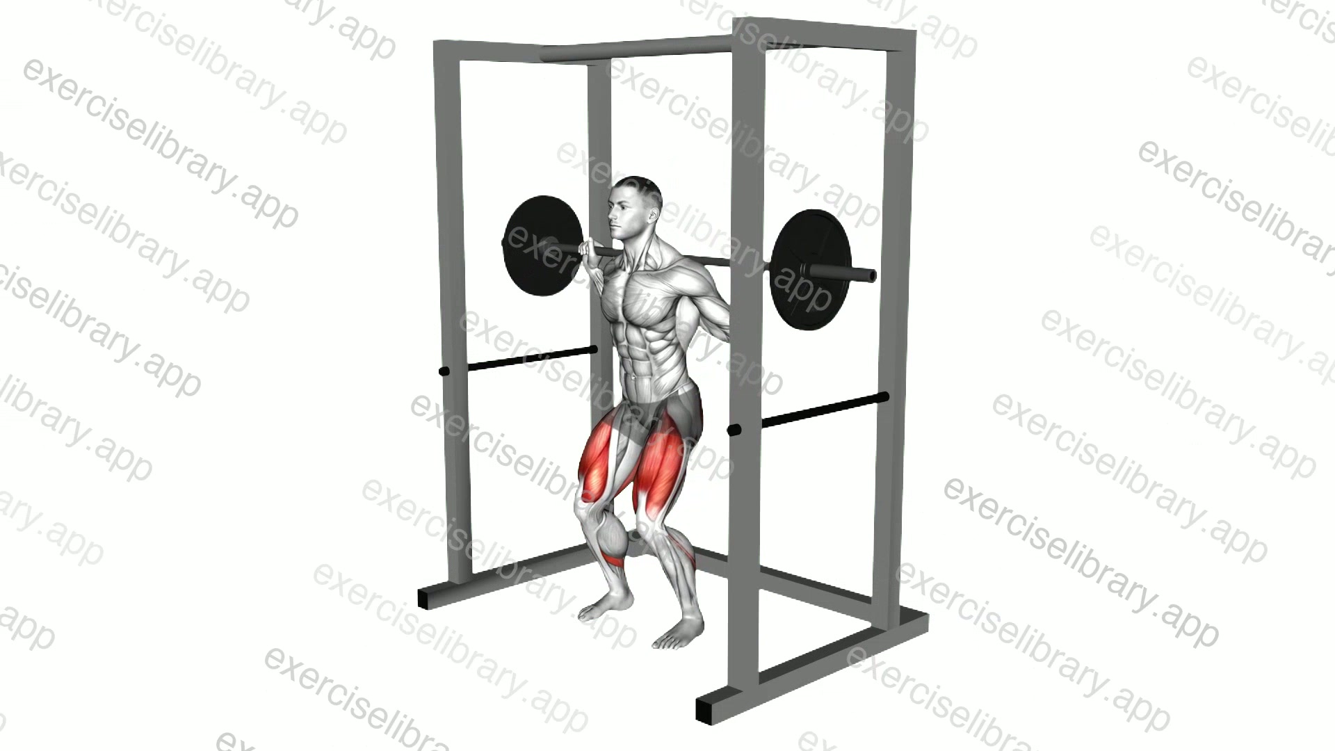 Barbell Pin Squat demonstration