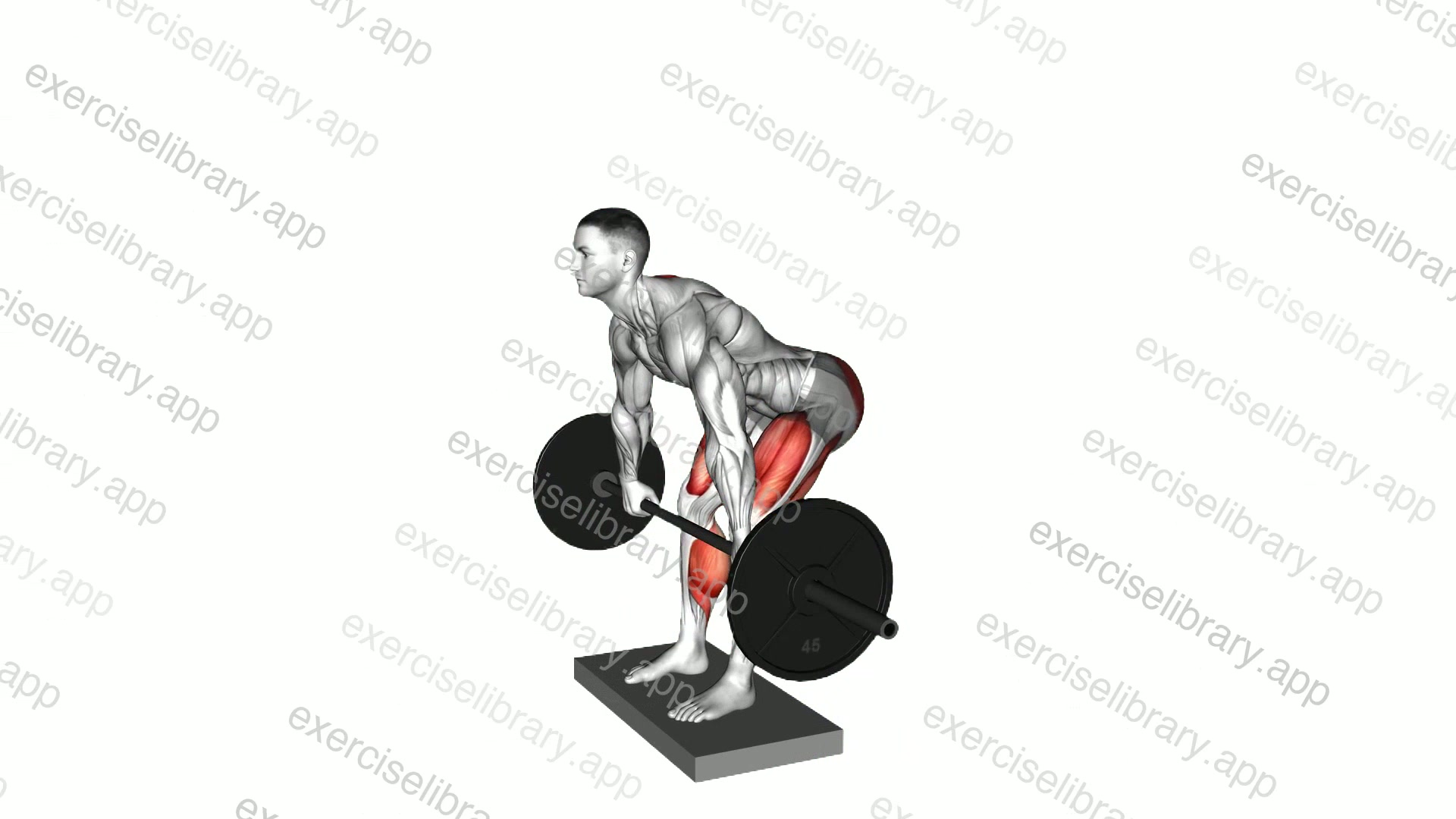 Barbell Deadlift from Deficit demonstration