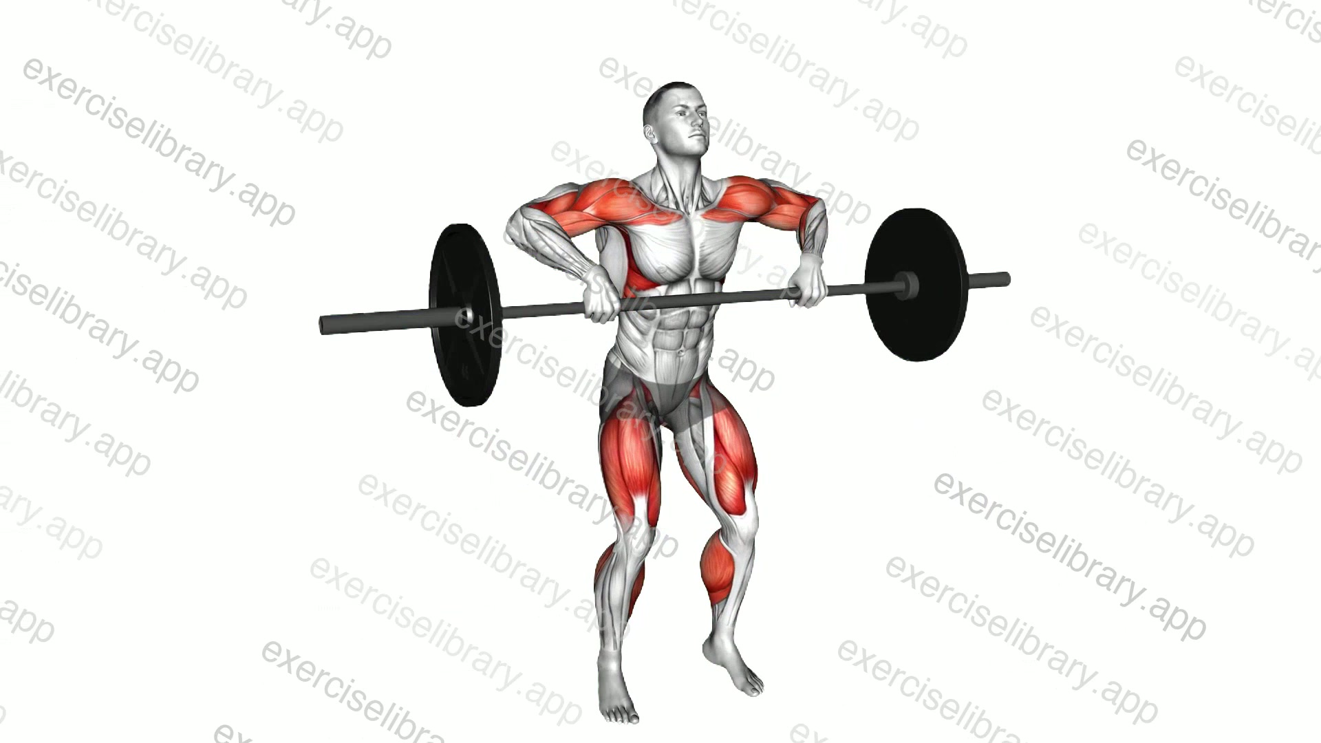 Barbell Hang Power Clean demonstration