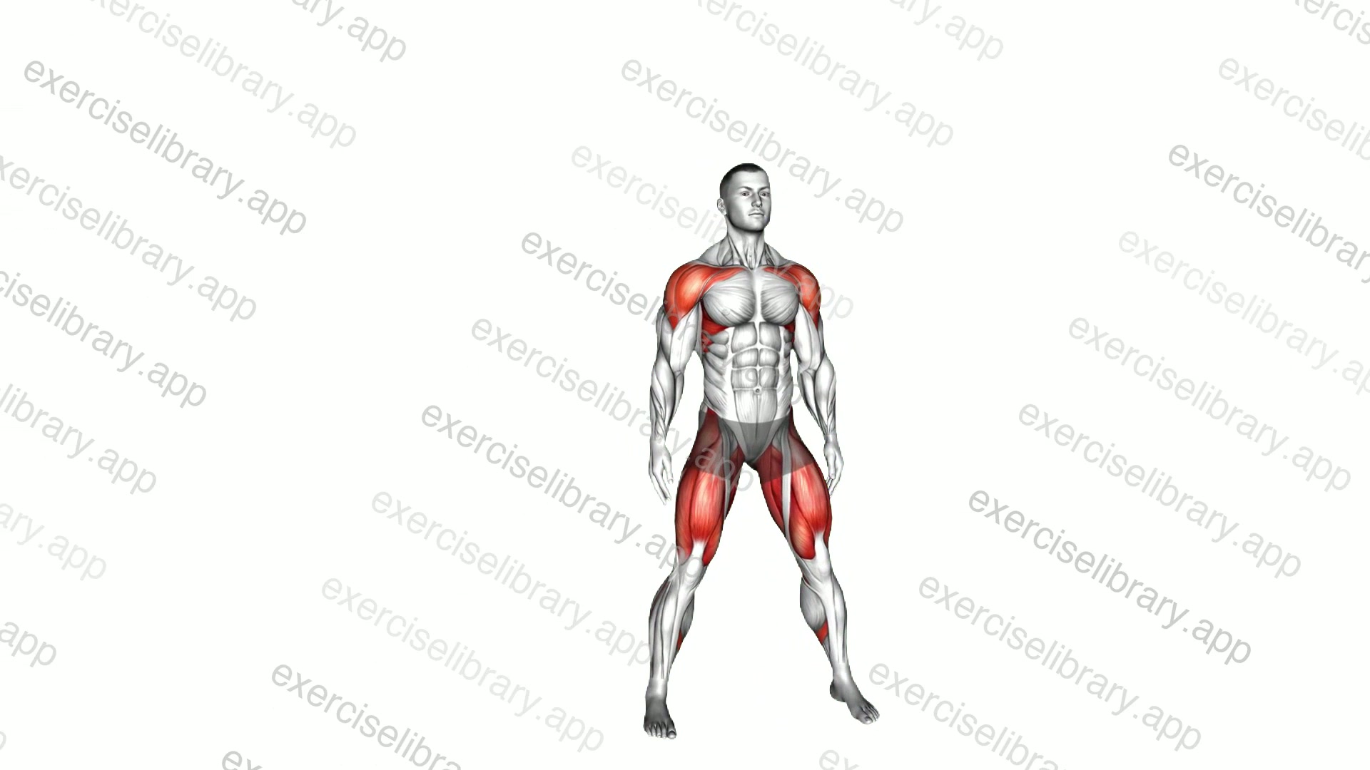 Step Squat Jack demonstration