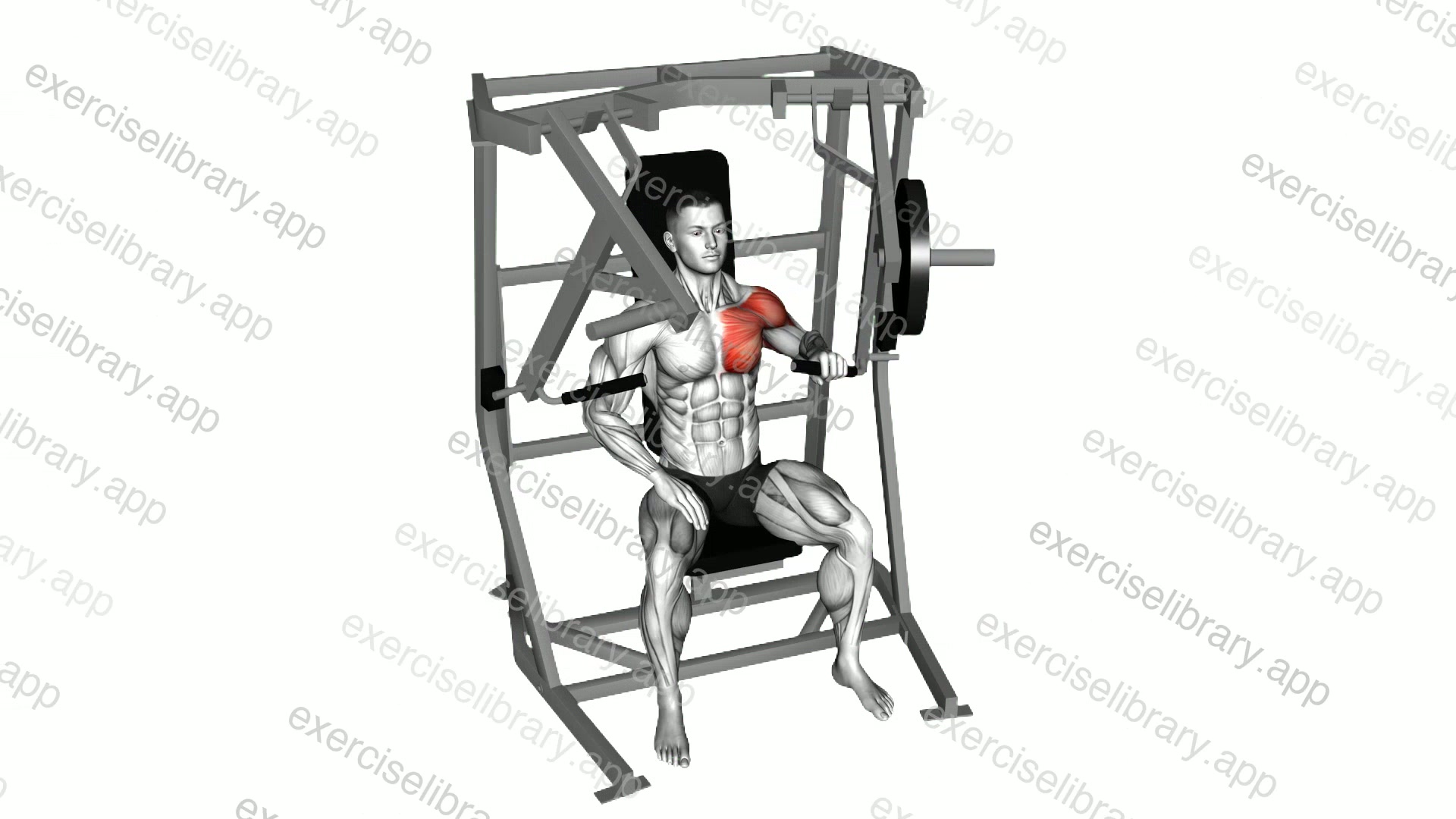 Lever Single Arm Chest Press demonstration