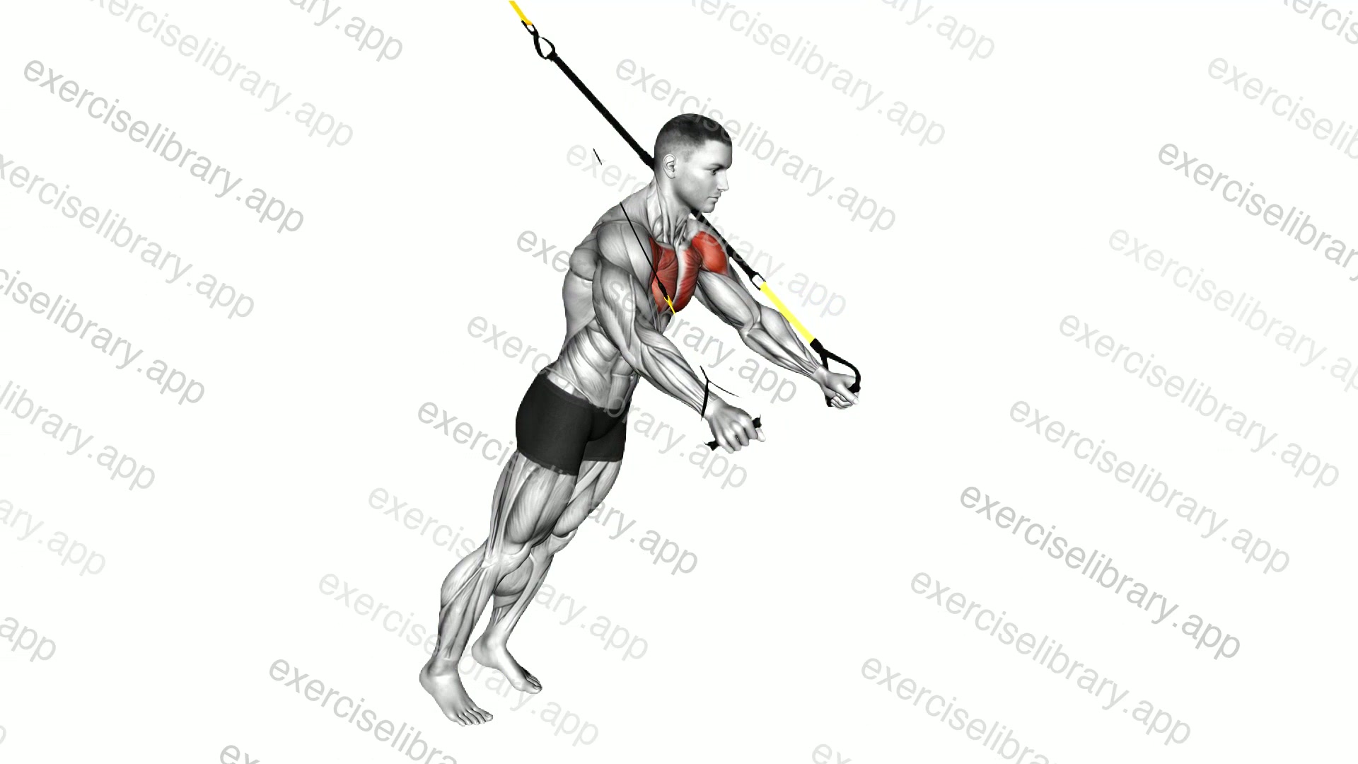 Suspender Fly demonstration