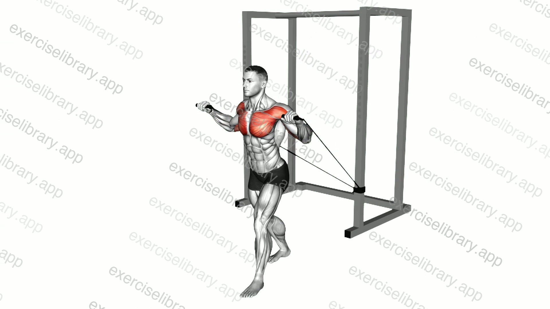 Band Incline Chest Press demonstration