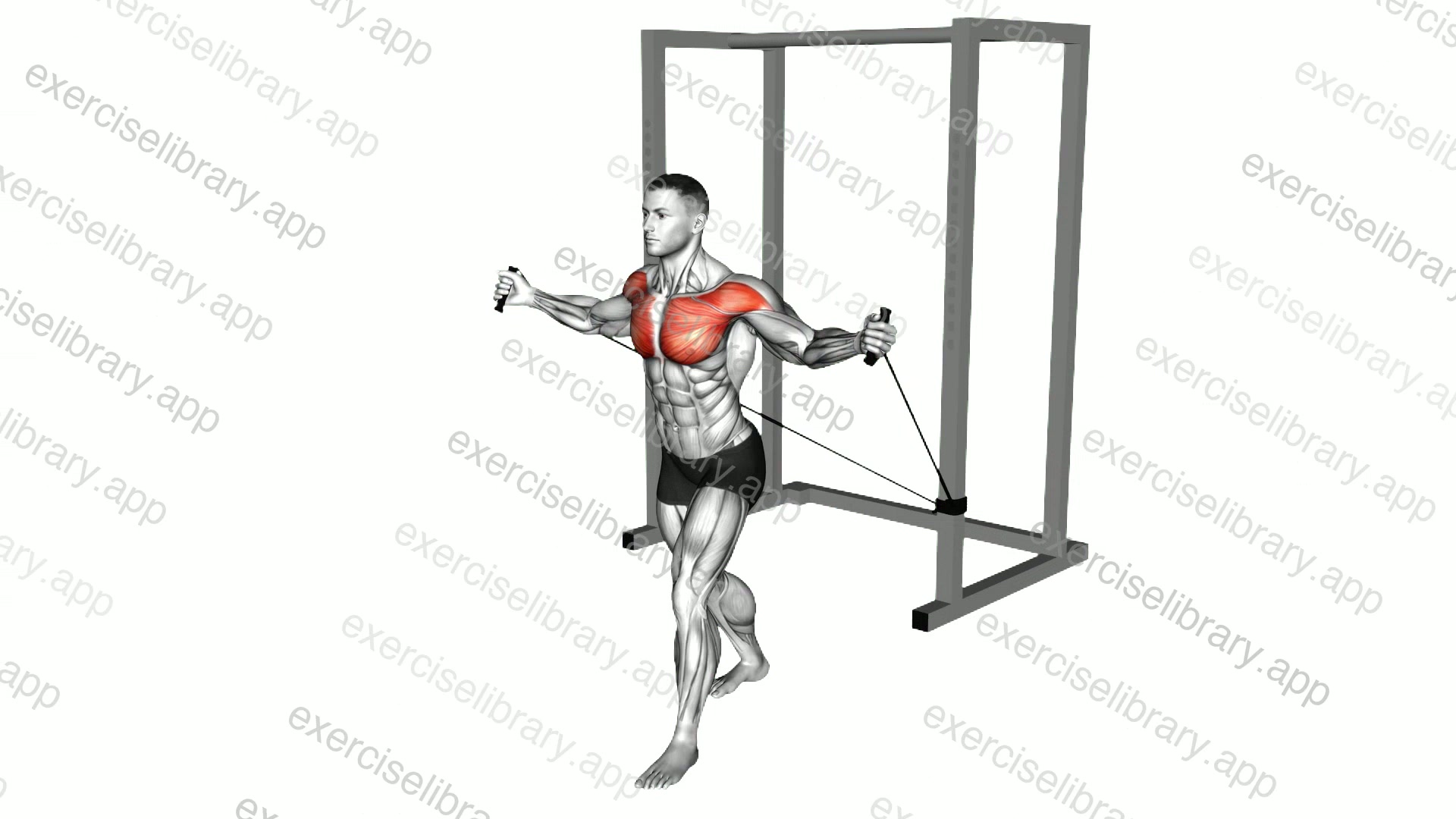 Band Incline Chest Fly demonstration