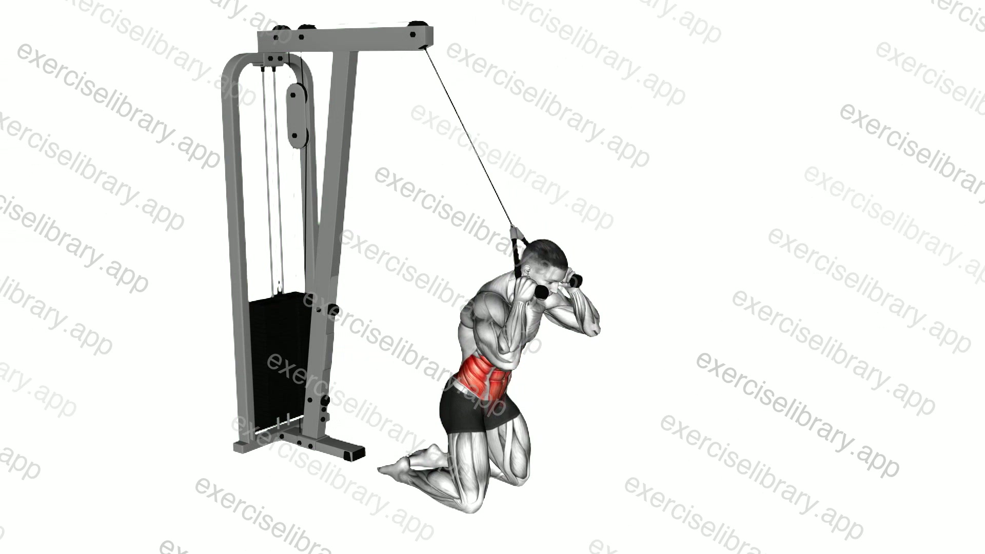 Cable Kneeling Crunch demonstration