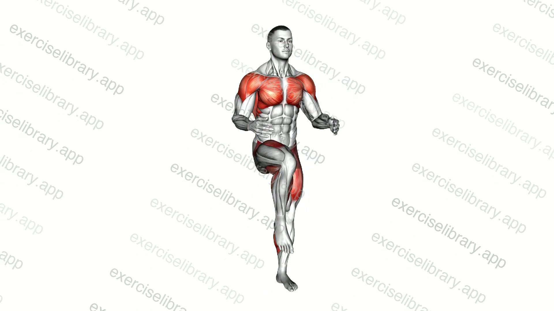 Knee Raise Step Jack demonstration