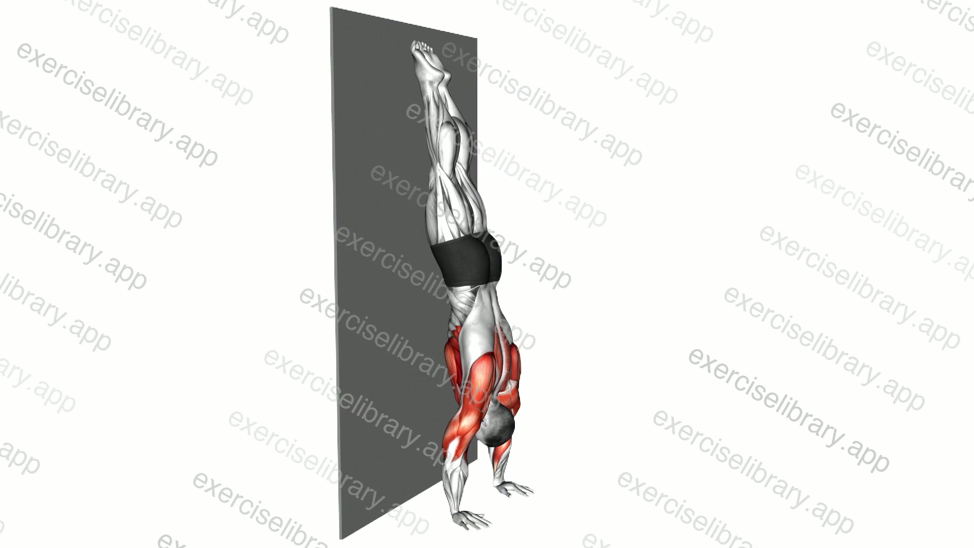 Handstand against the Wall demonstration