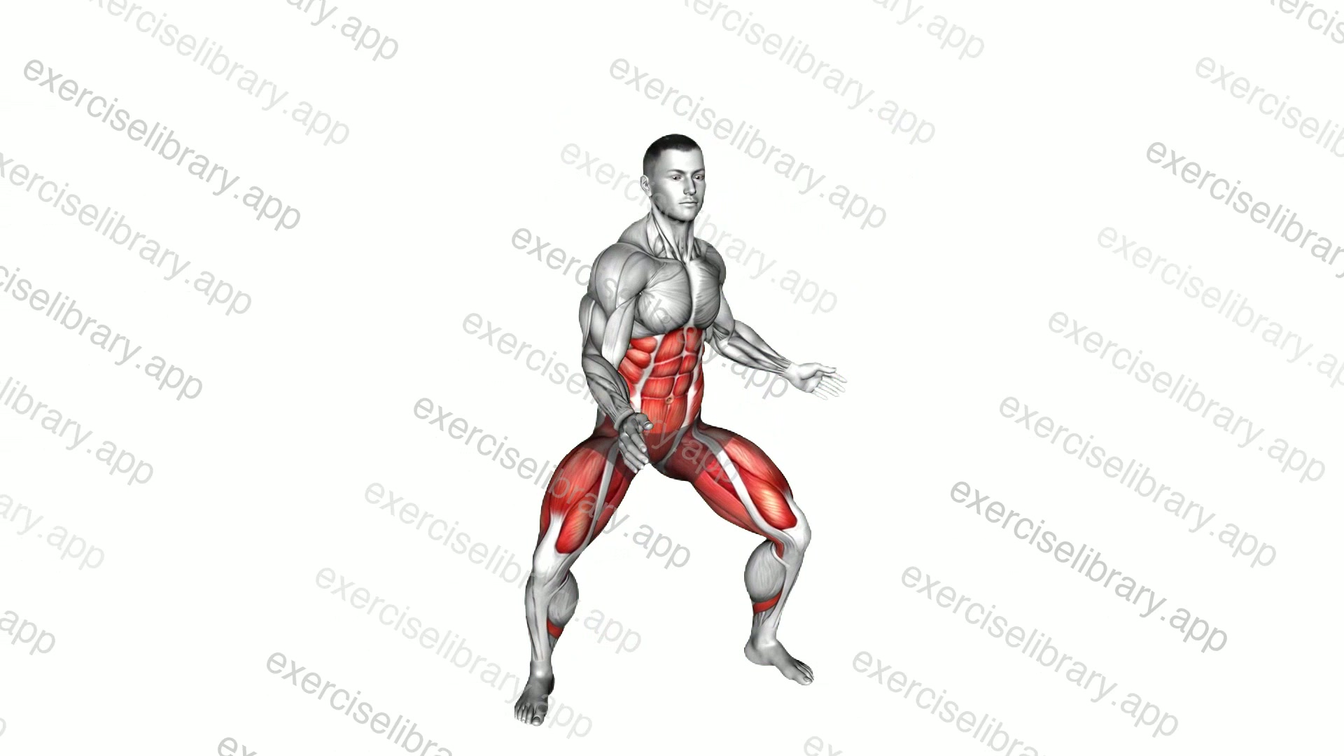 Squat Press Down Twist demonstration