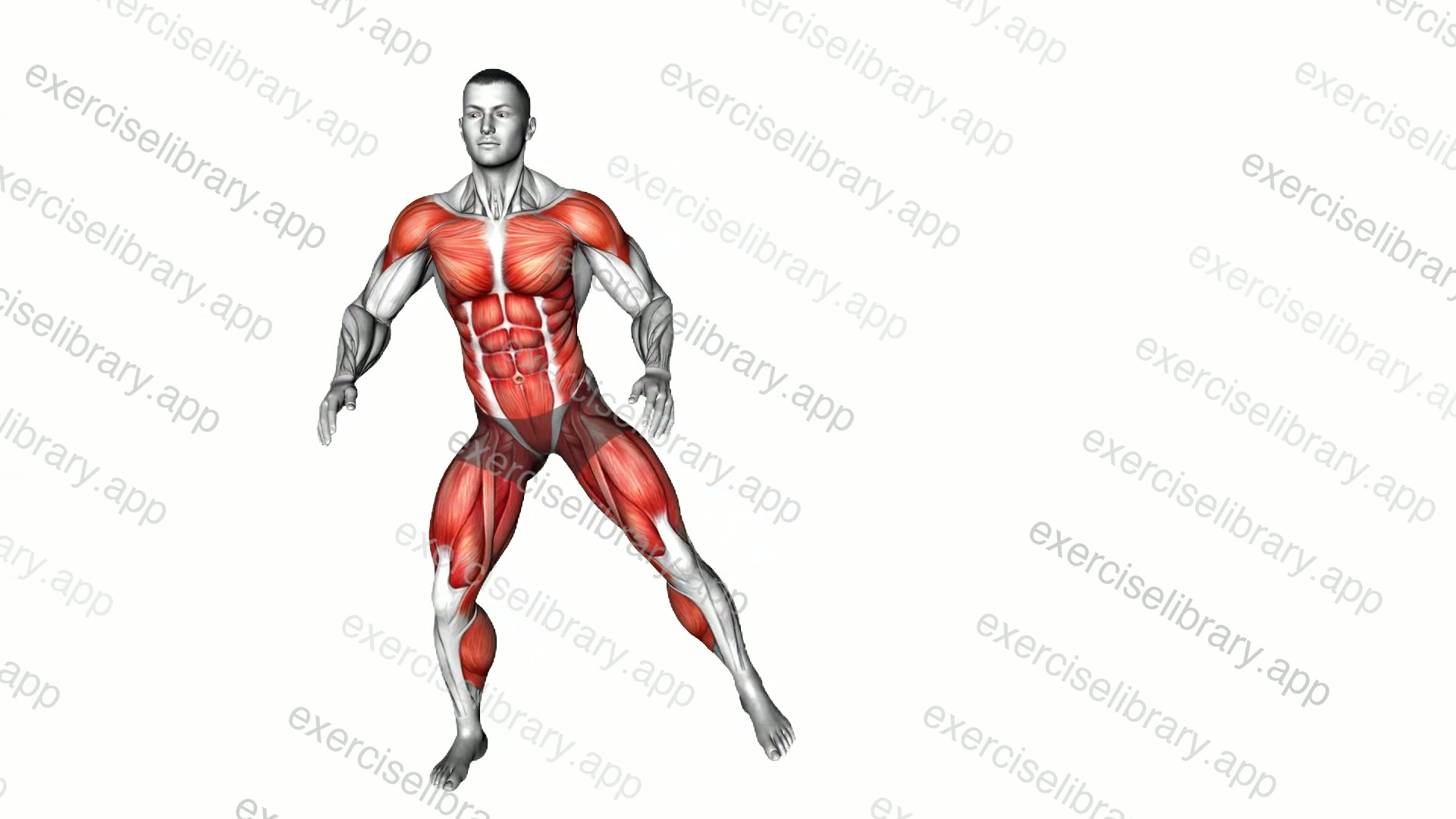 Pendulum Leg Plus demonstration