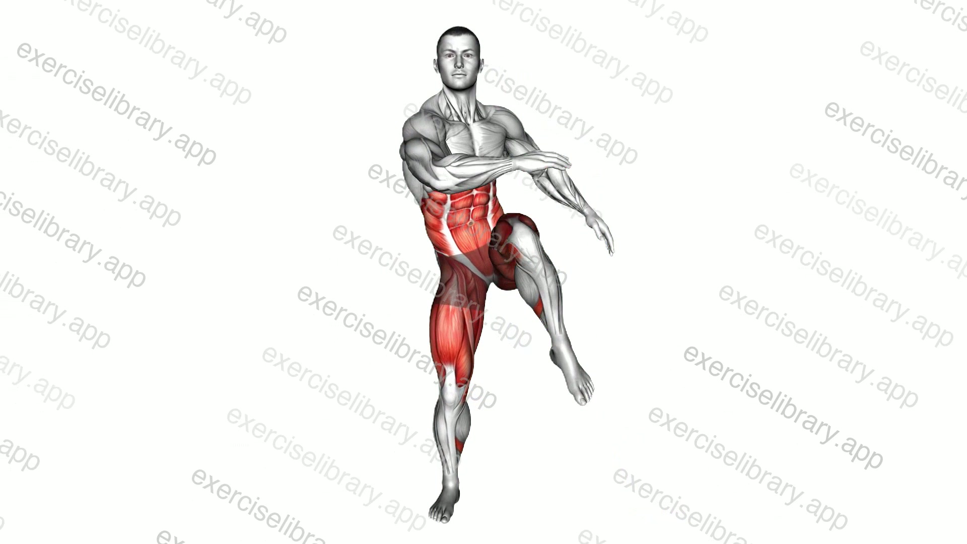 Step Knee Thrust demonstration