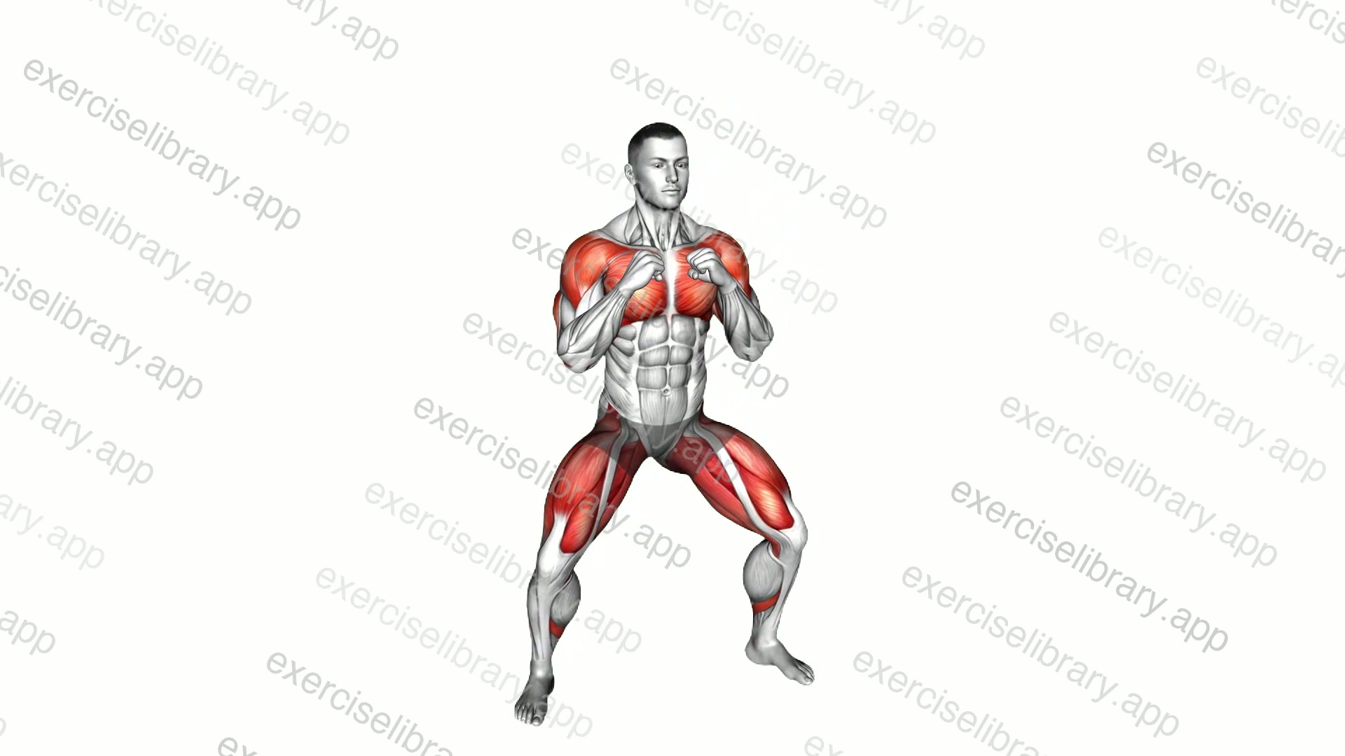 Top Bottom Punch Squat demonstration