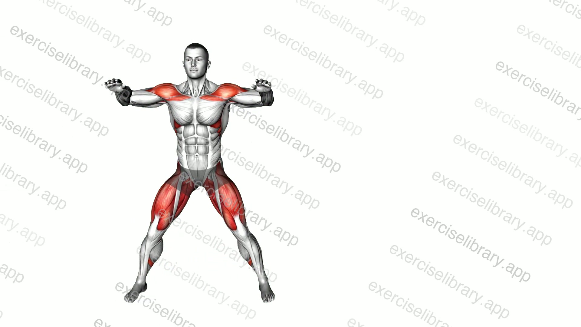 Side Step Lateral Raise demonstration