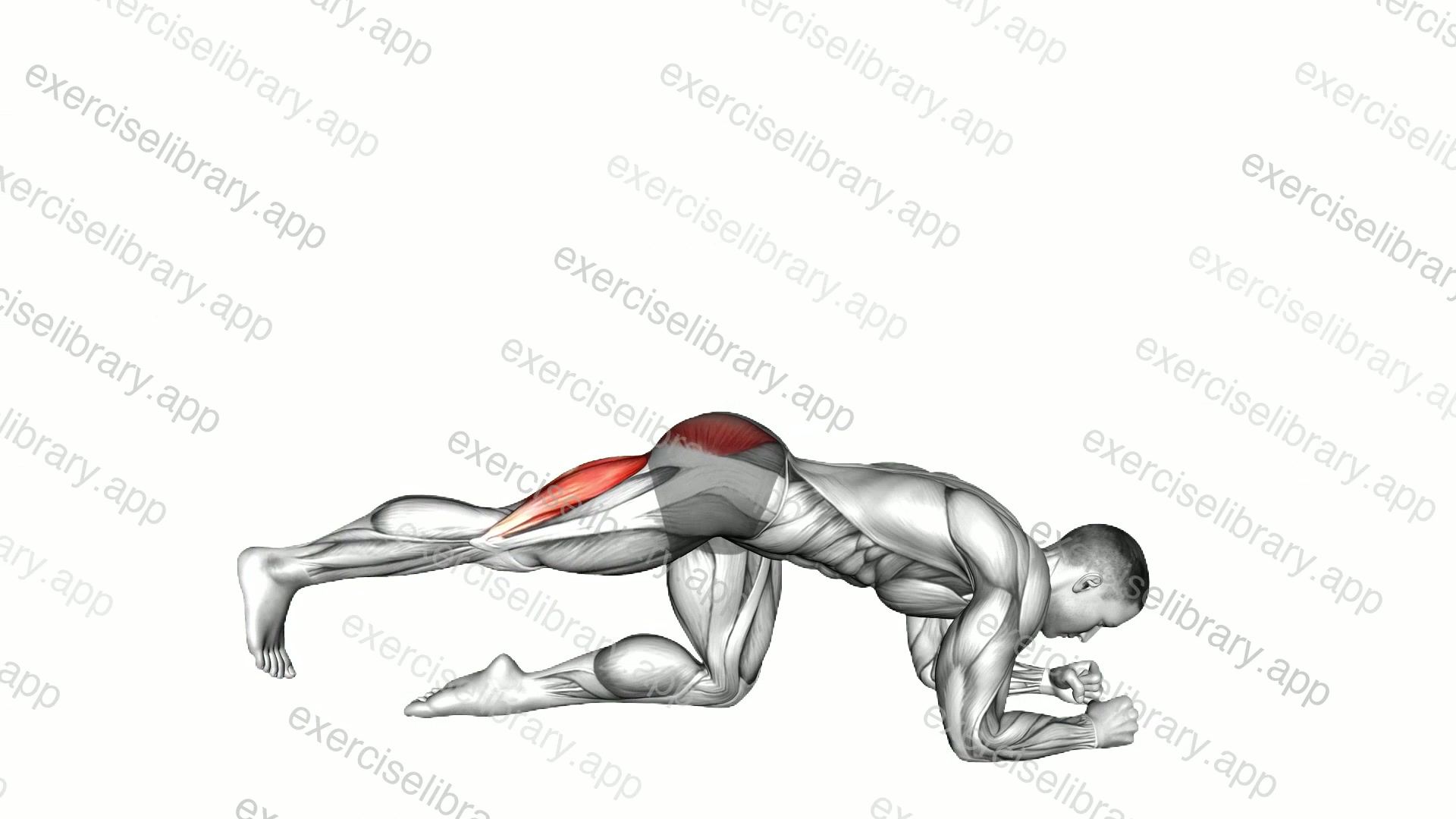 Kicks Leg Bent demonstration