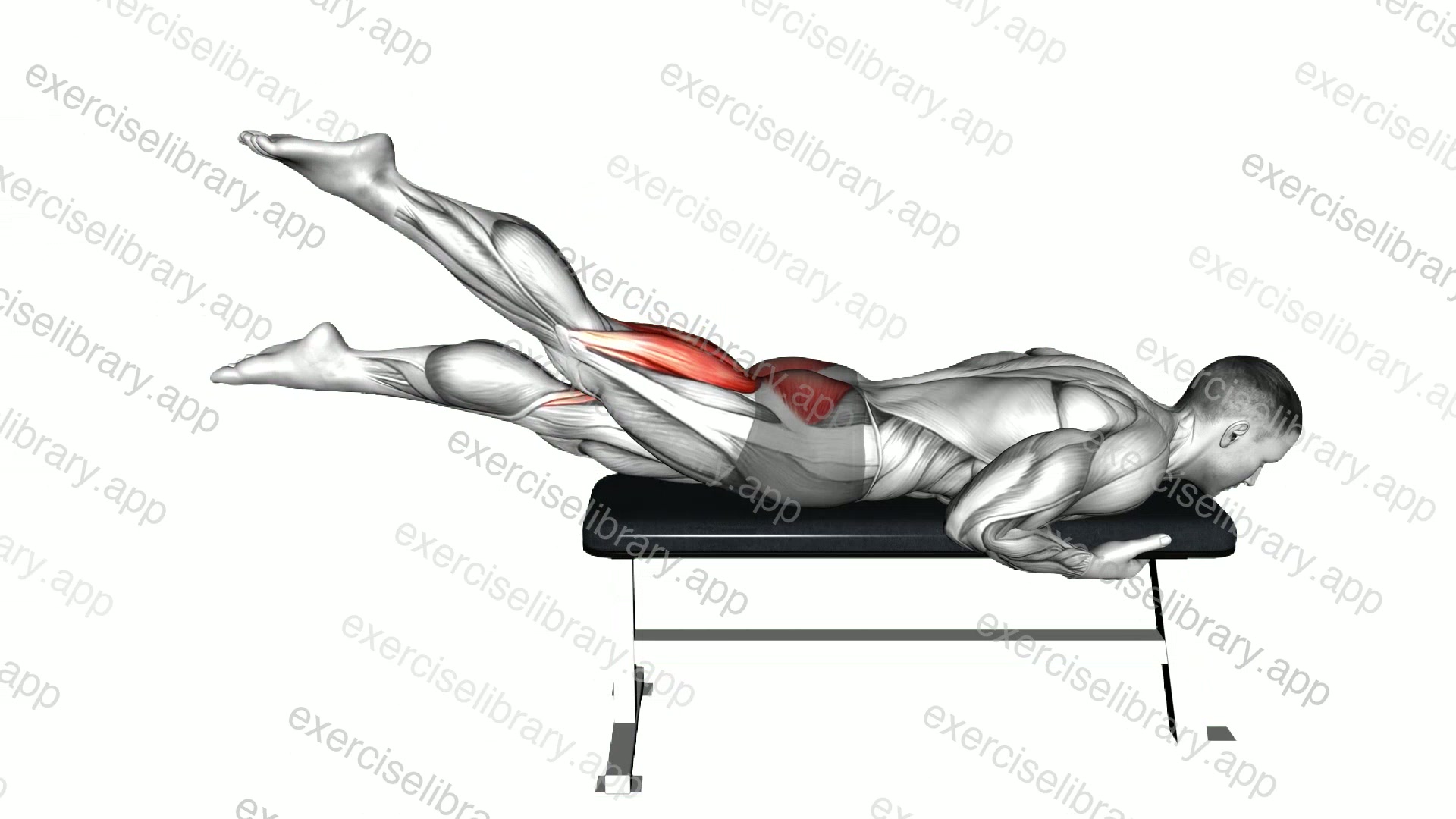 Lying Alternate Hip Extension demonstration
