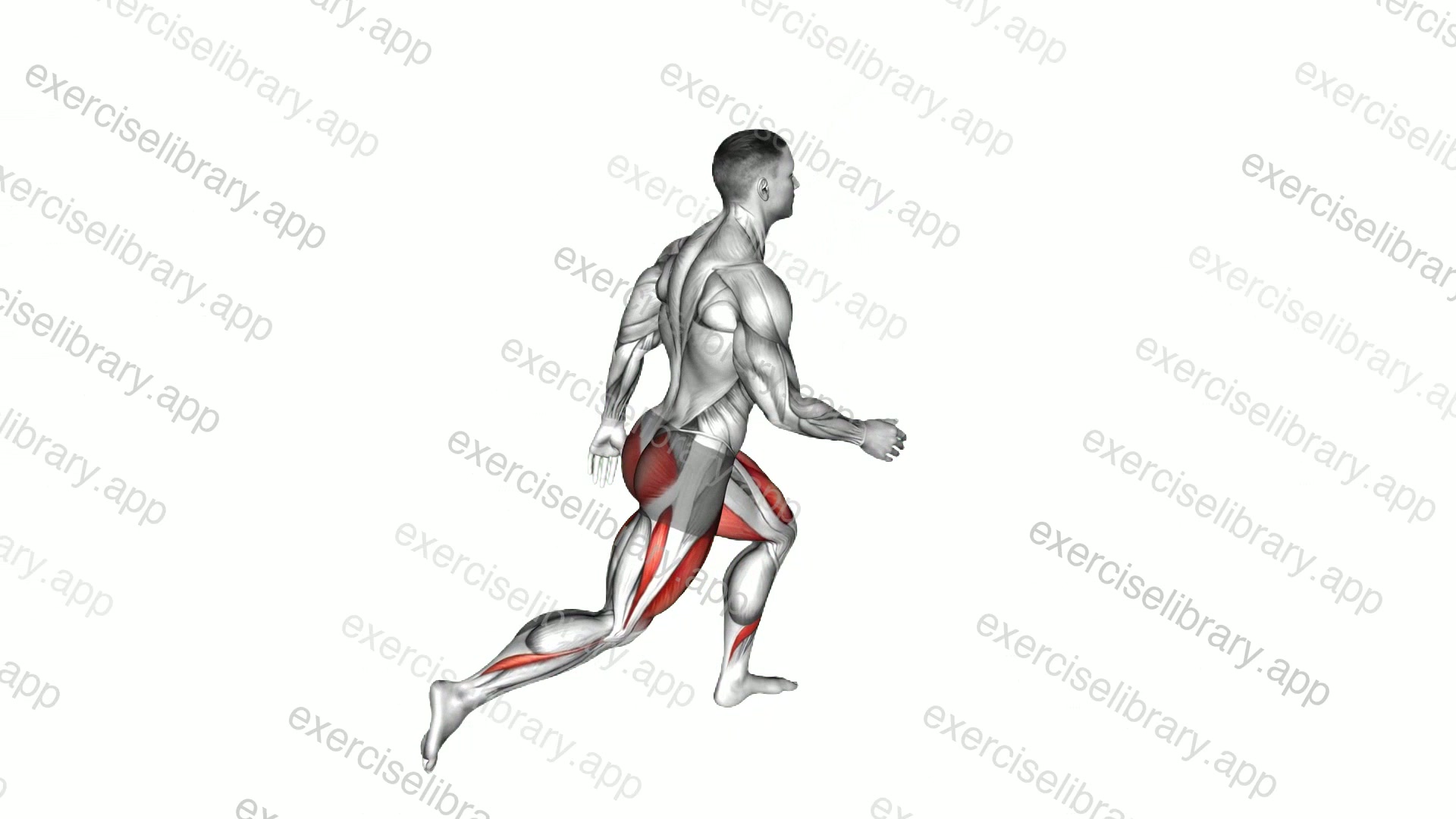 Reverse Lunge demonstration