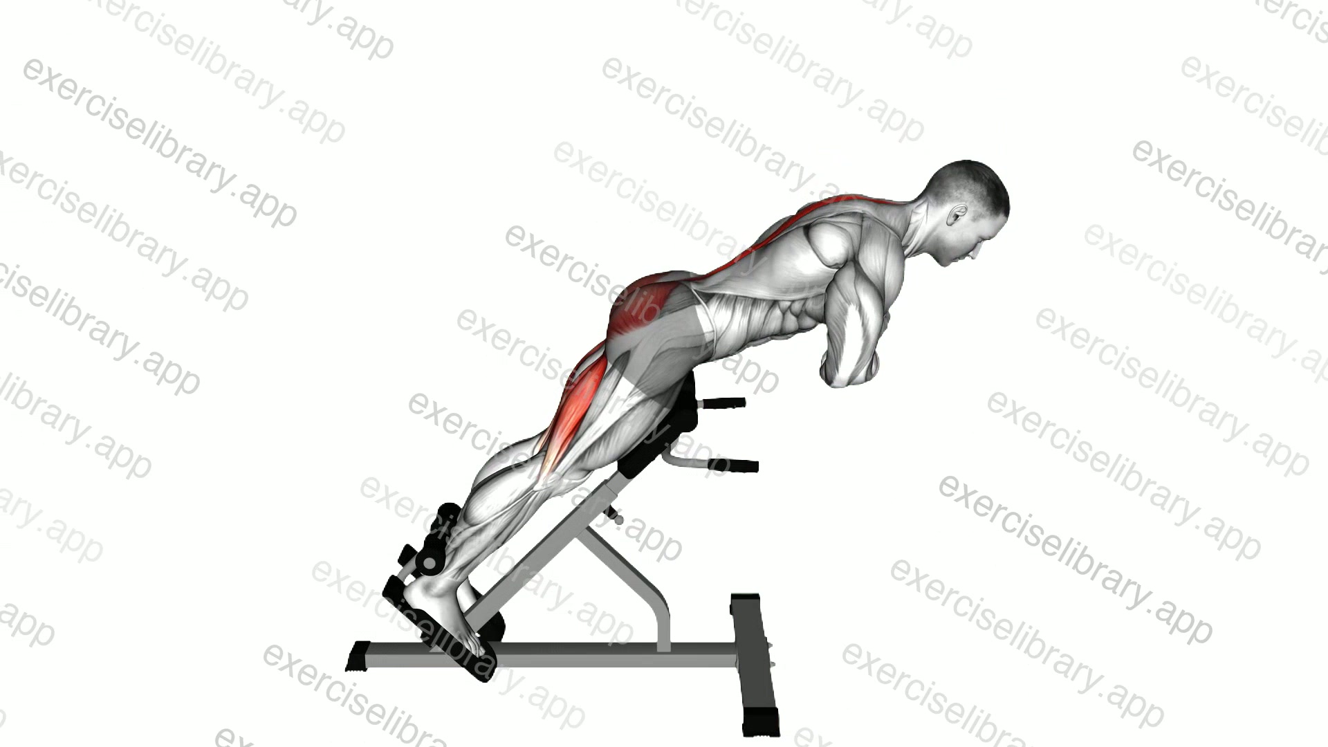 45 degrees Hyperextension demonstration