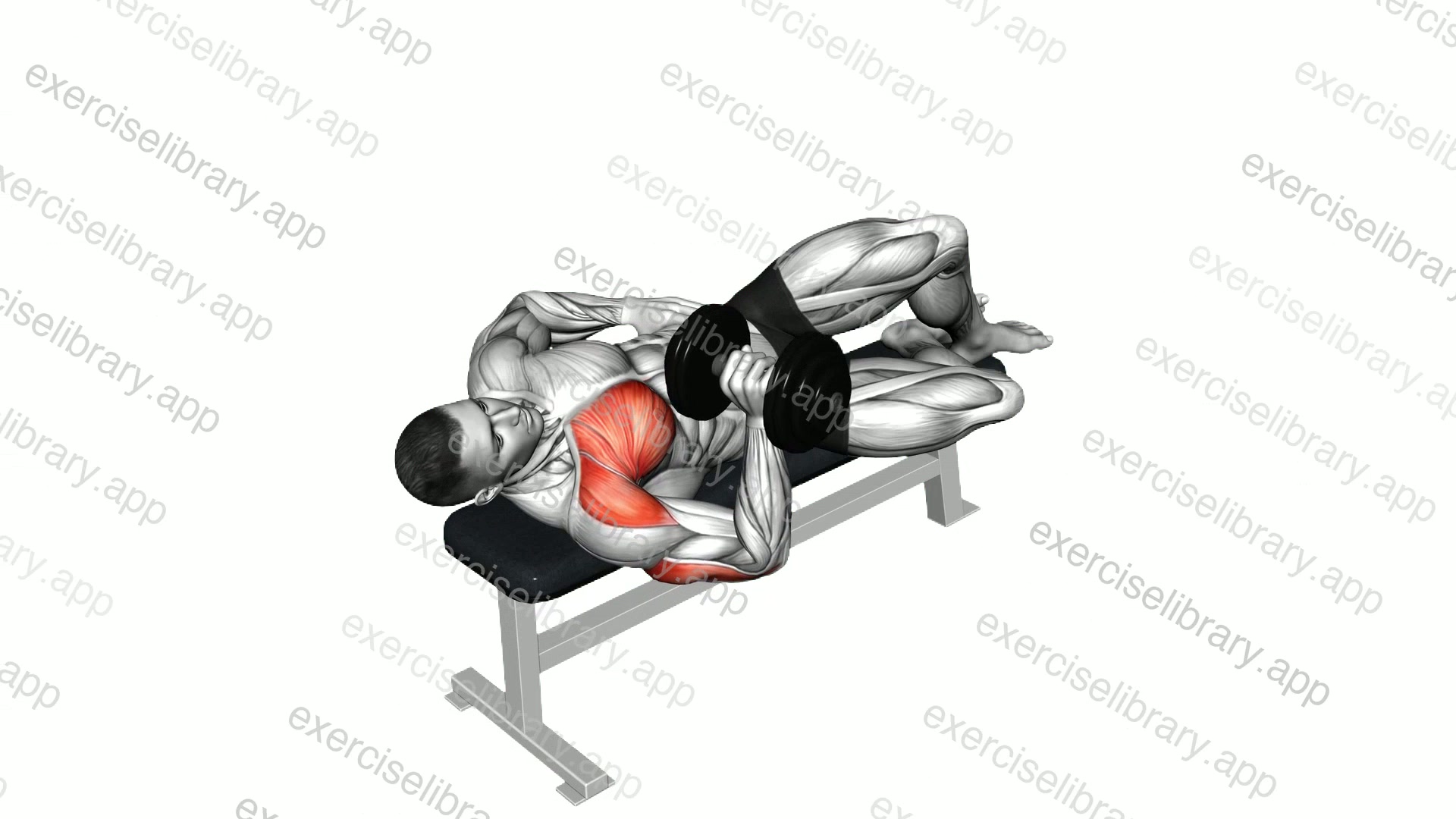 Dumbell One Arm Side Lying Bench Press demonstration