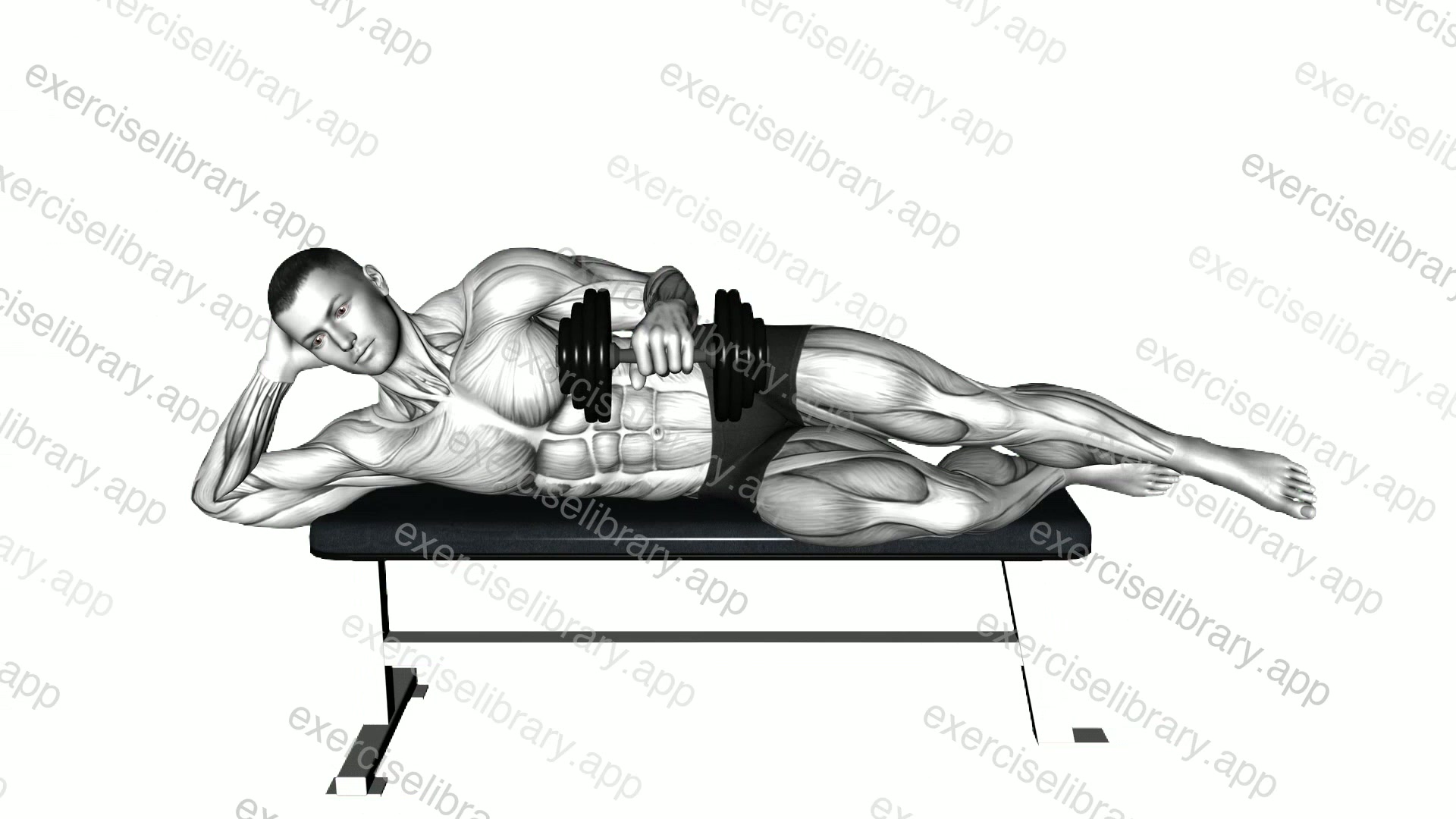 Dumbbell Side Lying External Rotation demonstration